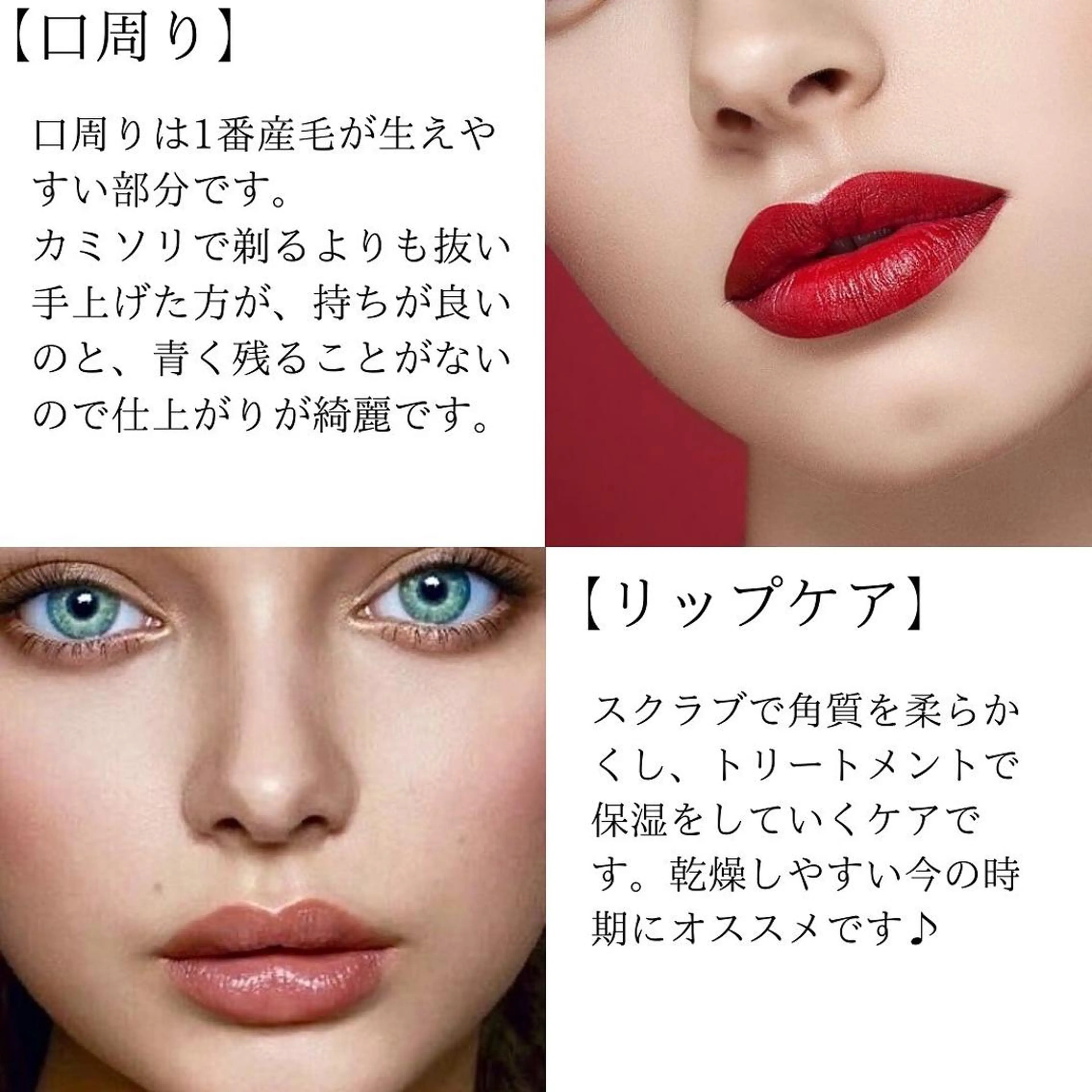 アイブロウ 眉毛専門サロンAviss所属・🦋HARU・ EYEBROW🦋の眉毛・アイブロウイメージ