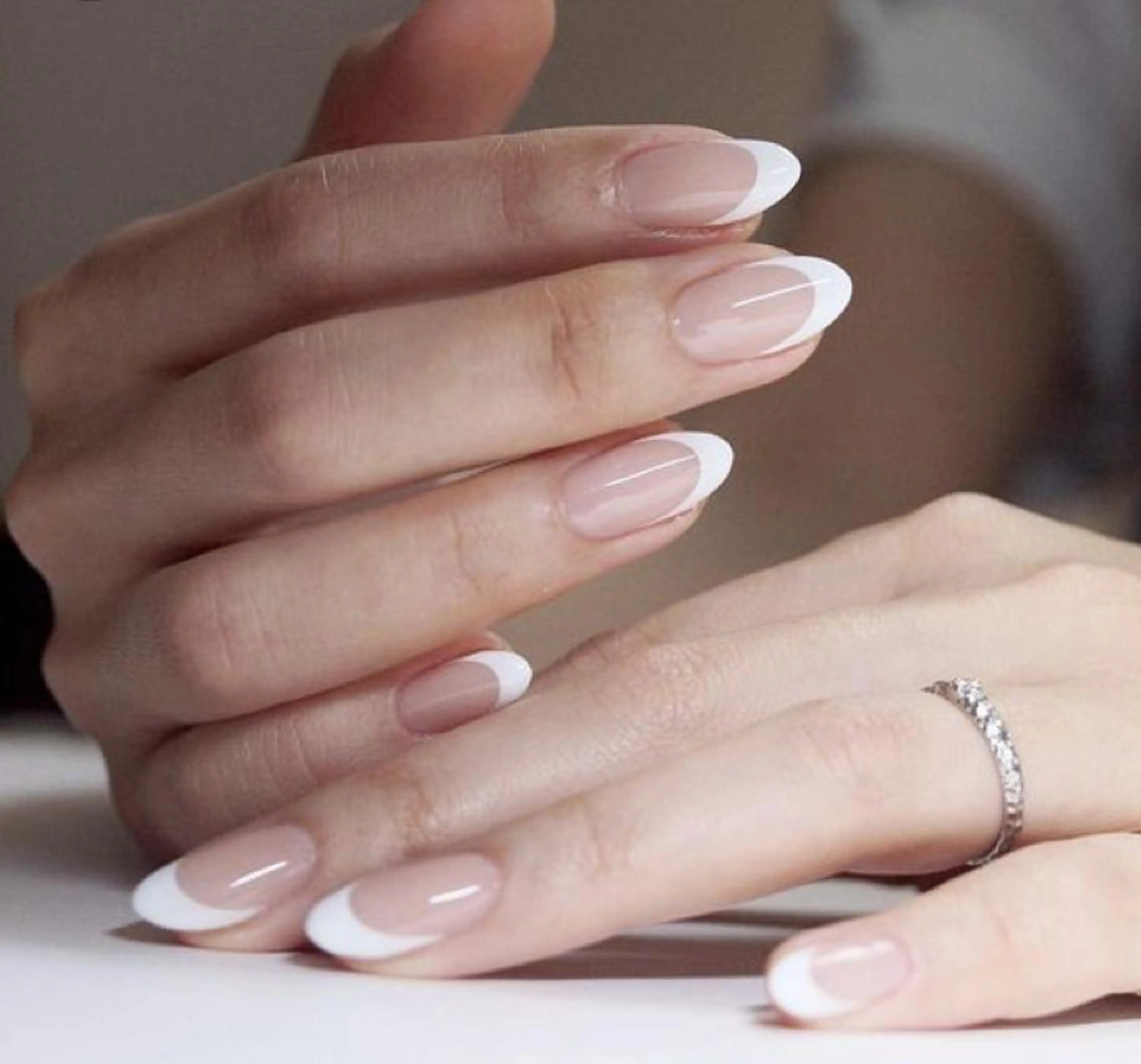 オフなし 王道フレンチの写真