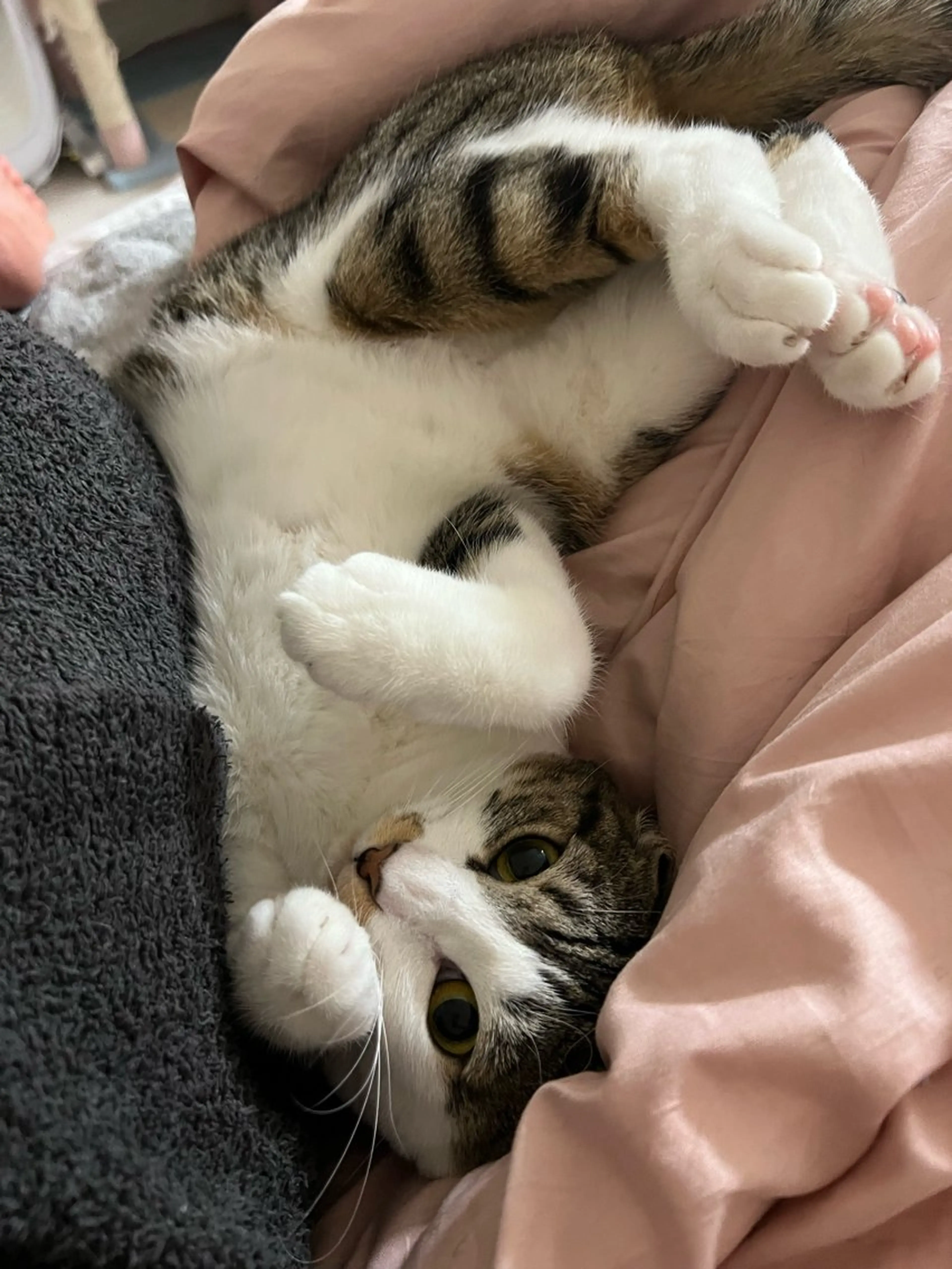 ネイル＆まつ毛 COCONail 池袋東口所属・COCONeil 井上のネイルデザイン