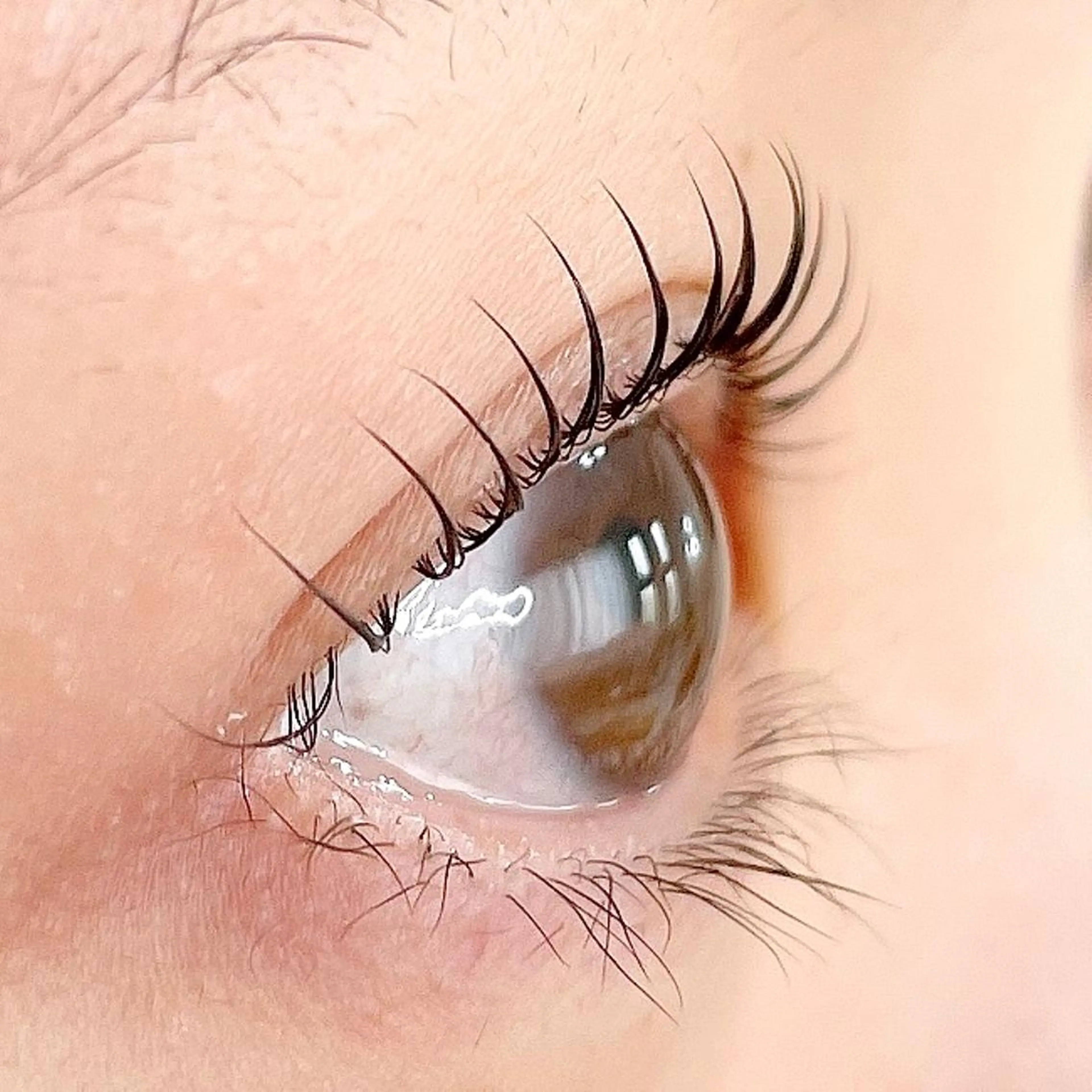 マツエク・マツパ ant_u🌷 arisaのマツエク・マツパデザイン