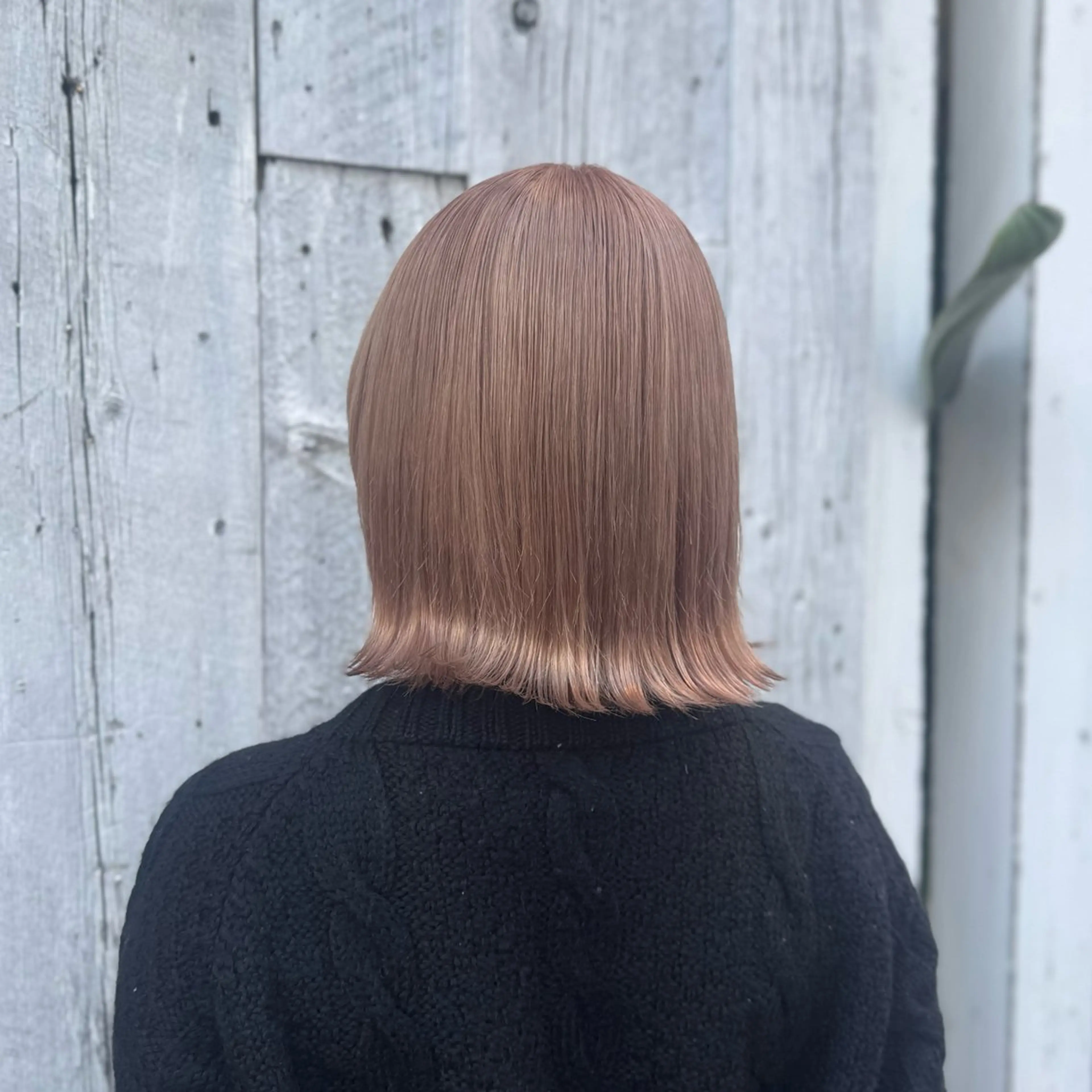 🦋垢抜けハイトーンカラー🦋[1ブリーチ➕カラー]の写真