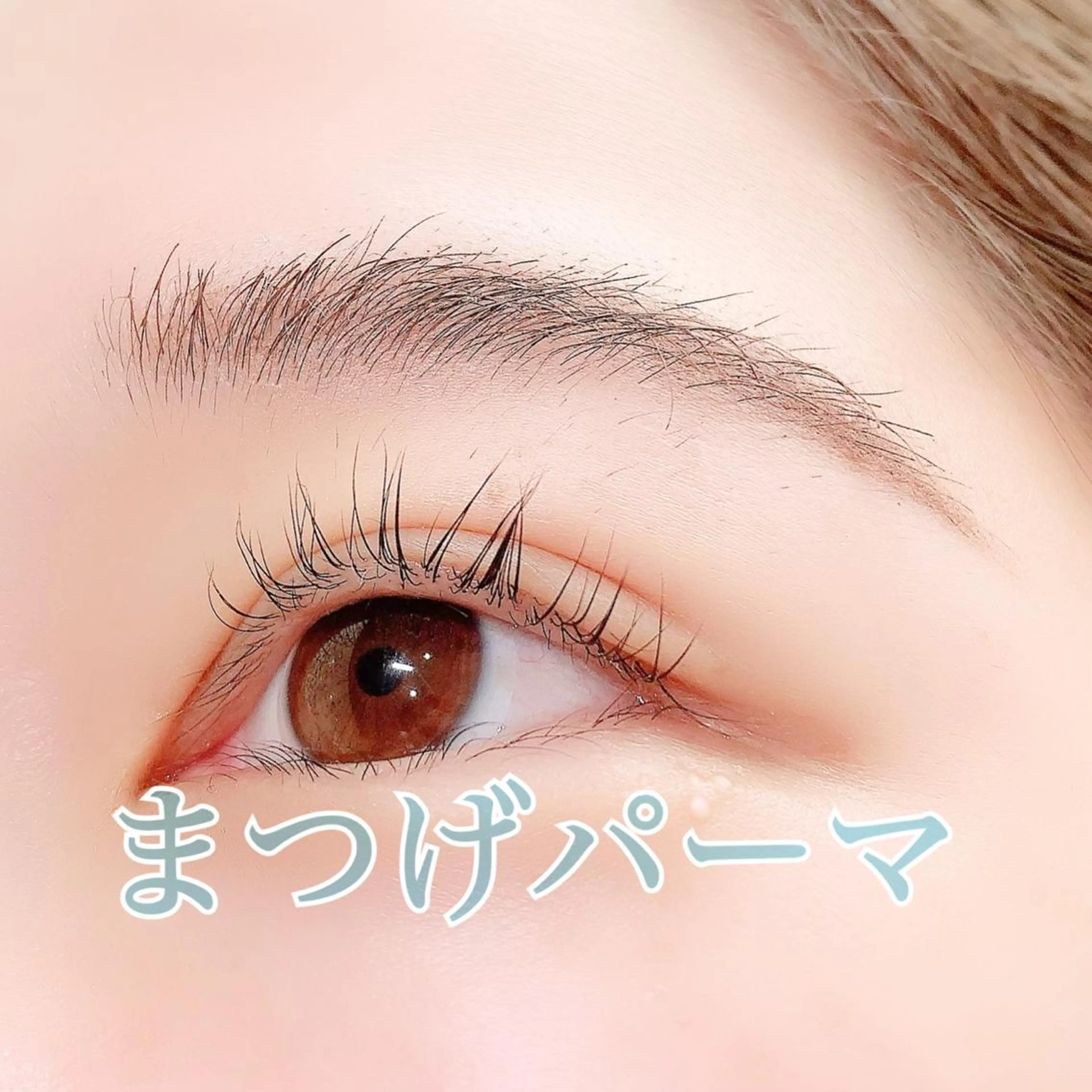 マツエク・マツパ マツパ Lanhr所属・【Lanhr】 🕊aya🕊のマツエク・マツパデザイン