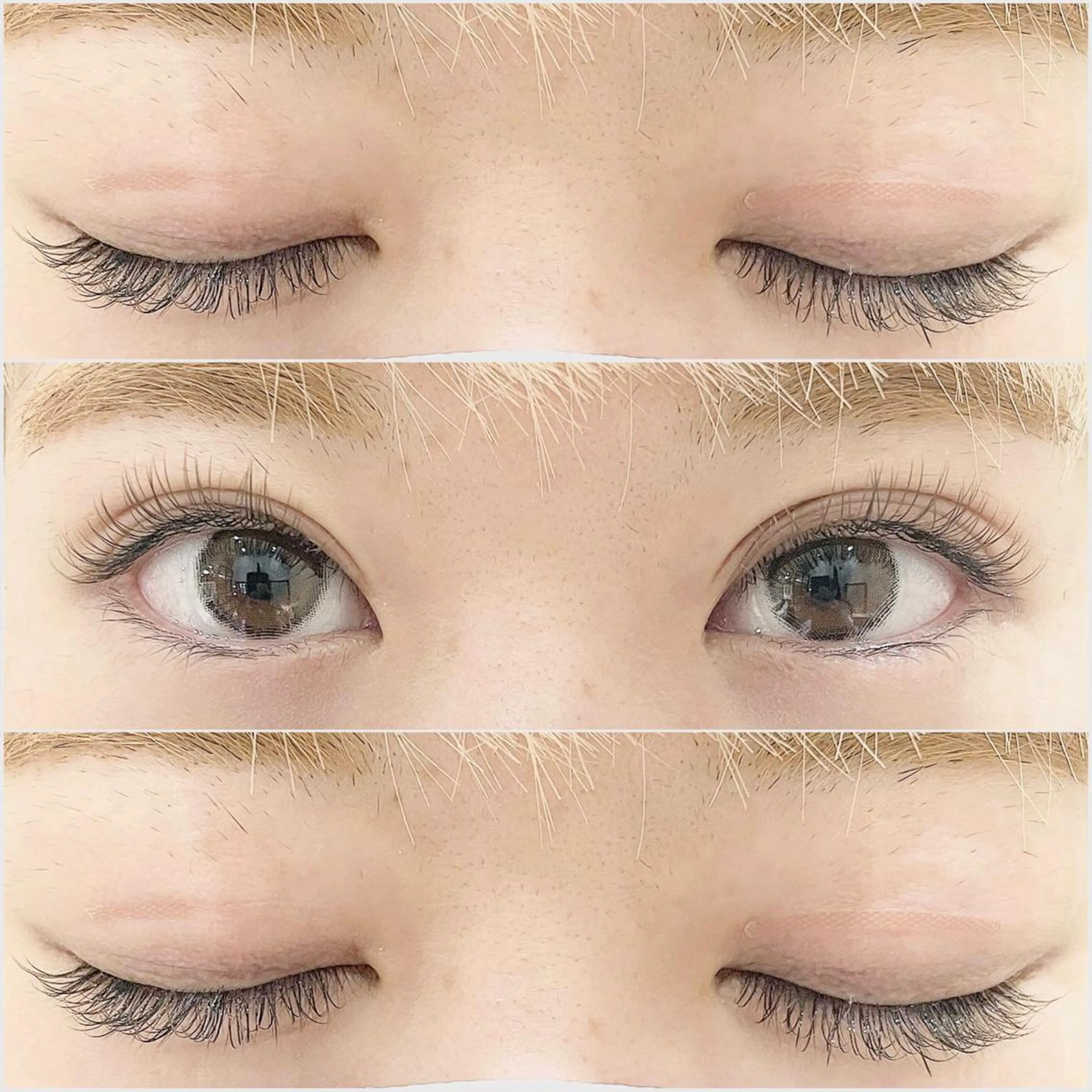 マツエク・マツパ Cカール カラーマツエク ナチュラル セーブル トップアイリスト やつだ🐩のマツエク・マツパデザイン