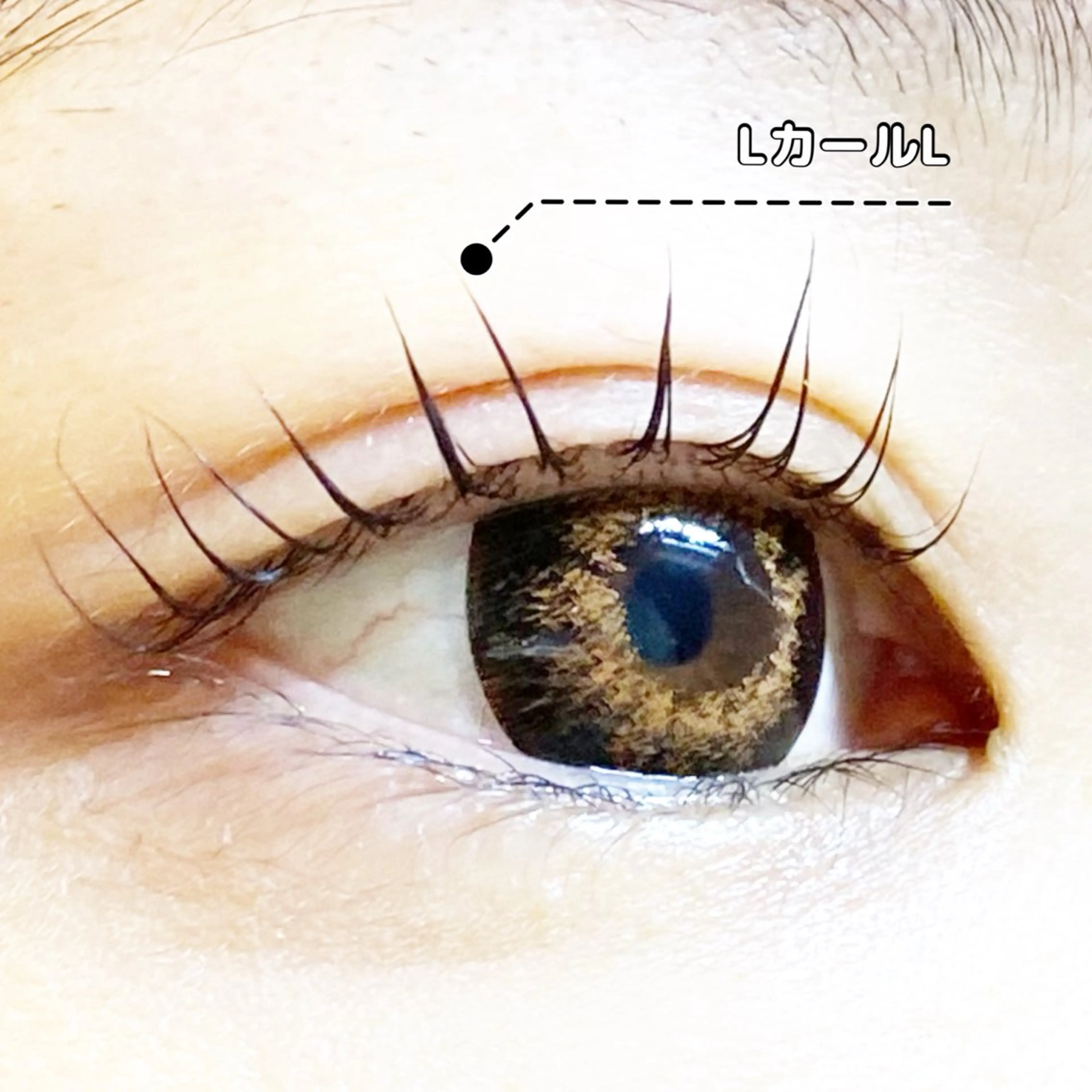 マツエク・マツパ Lカール LC尾張旭店所属・LC尾張旭店🫧 いしいのマツエク・マツパデザイン