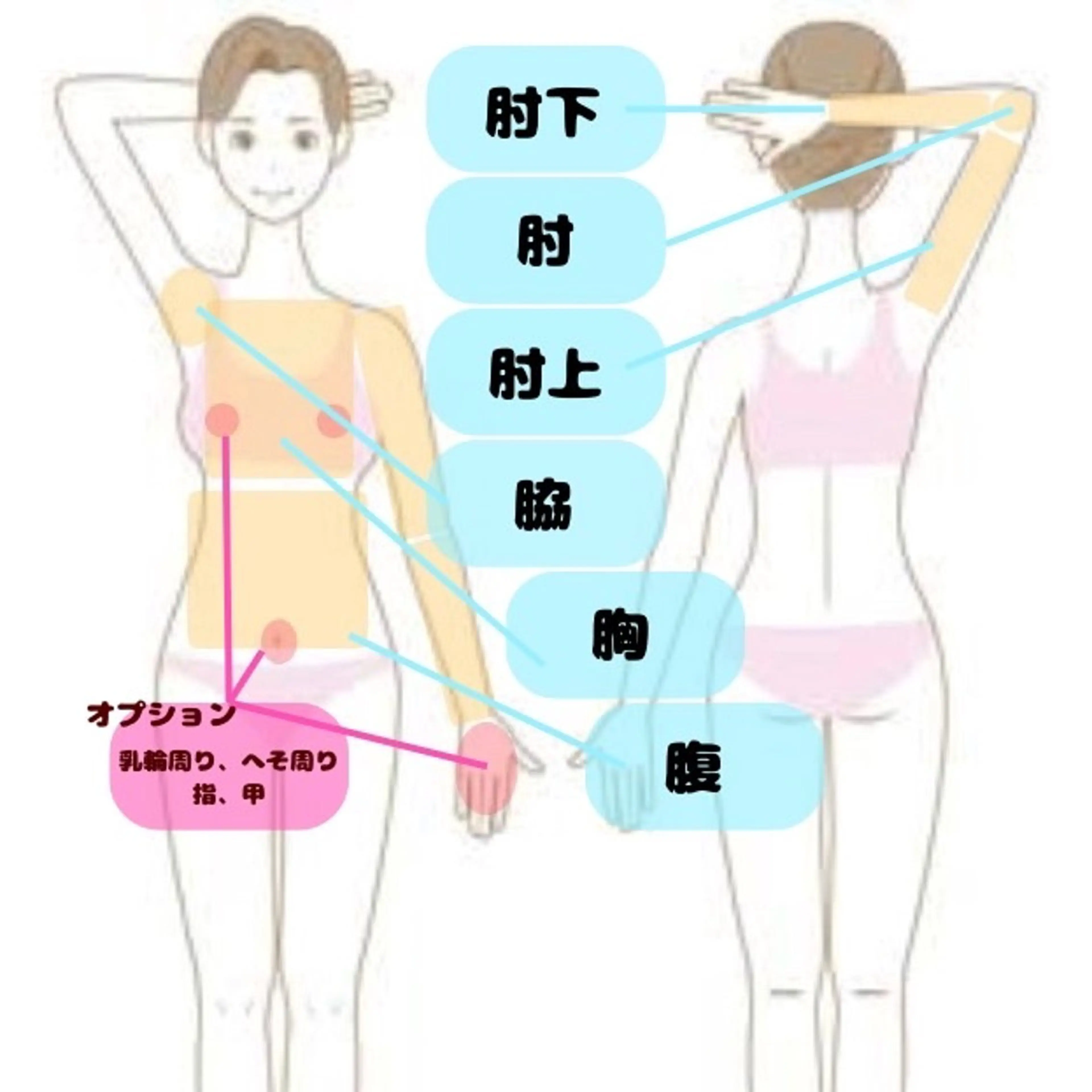 【肌見せ‼️】腕、脇、胸、腹🌙 1回¥2,200の写真