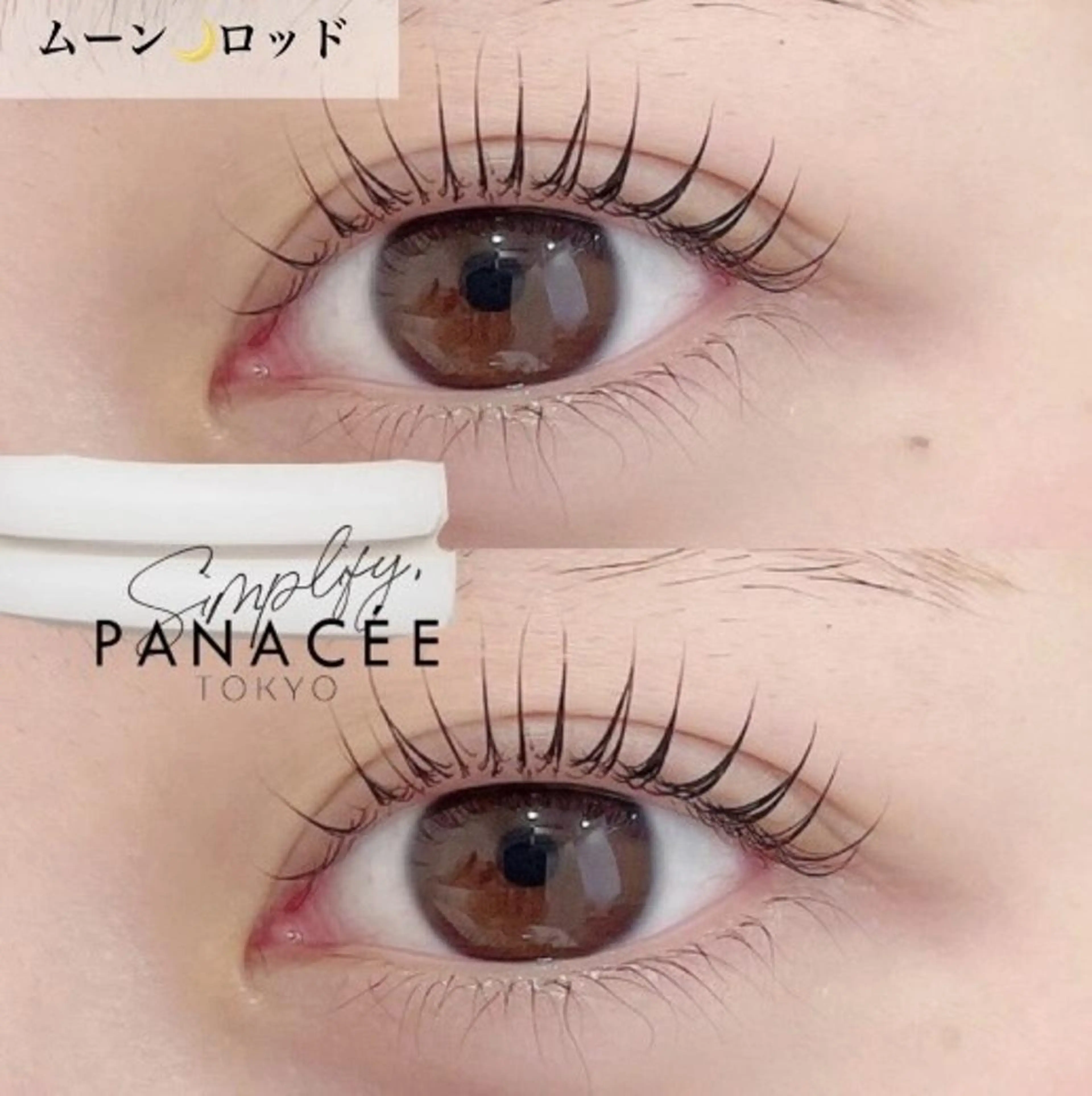 ミニモ限定🐼まつげパーマ＋まゆ毛ワックスの写真