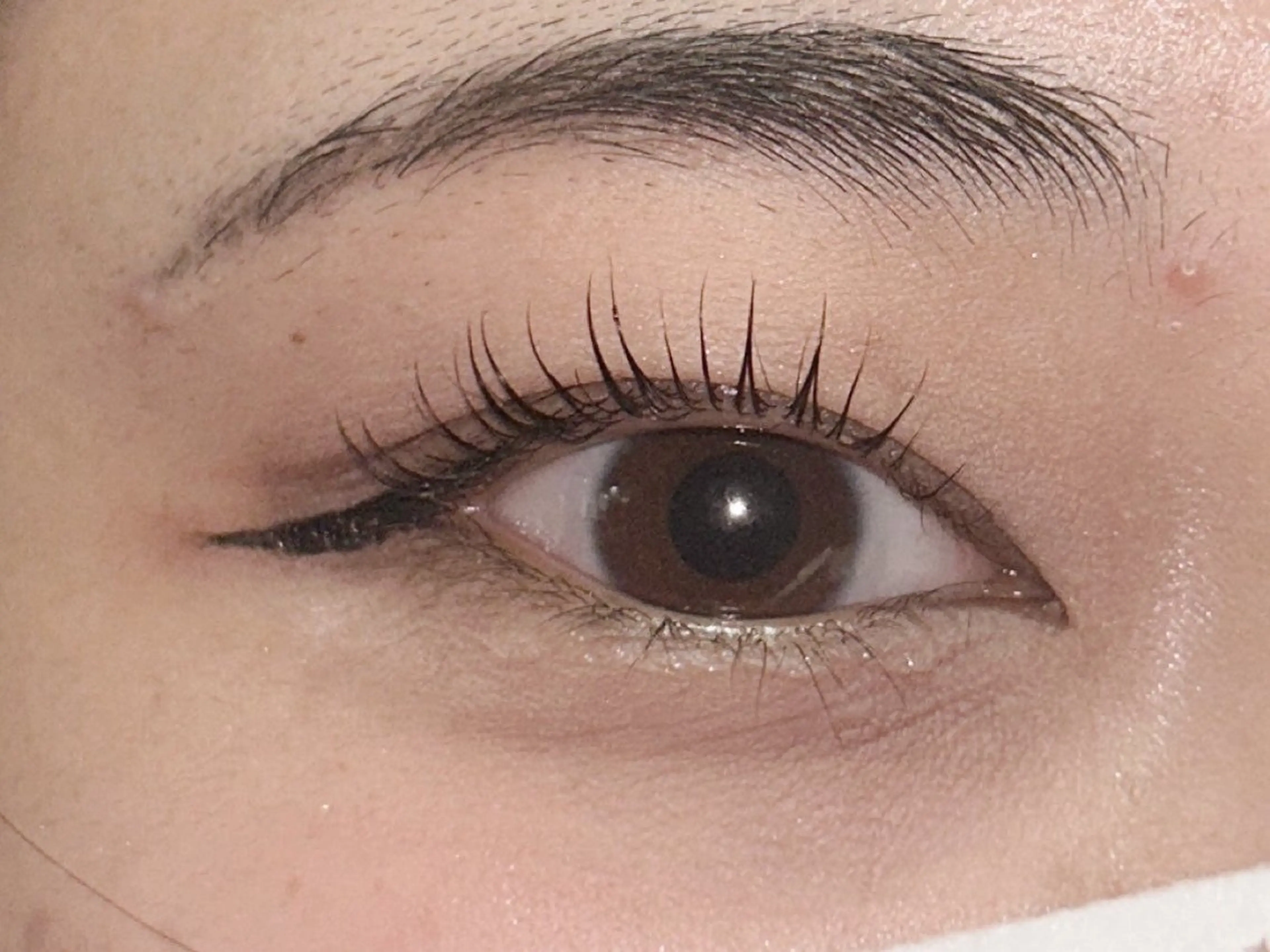 マツエク・マツパ ❣️高田馬場人気❣️ アイブロウワックスの眉毛・アイブロウイメージ