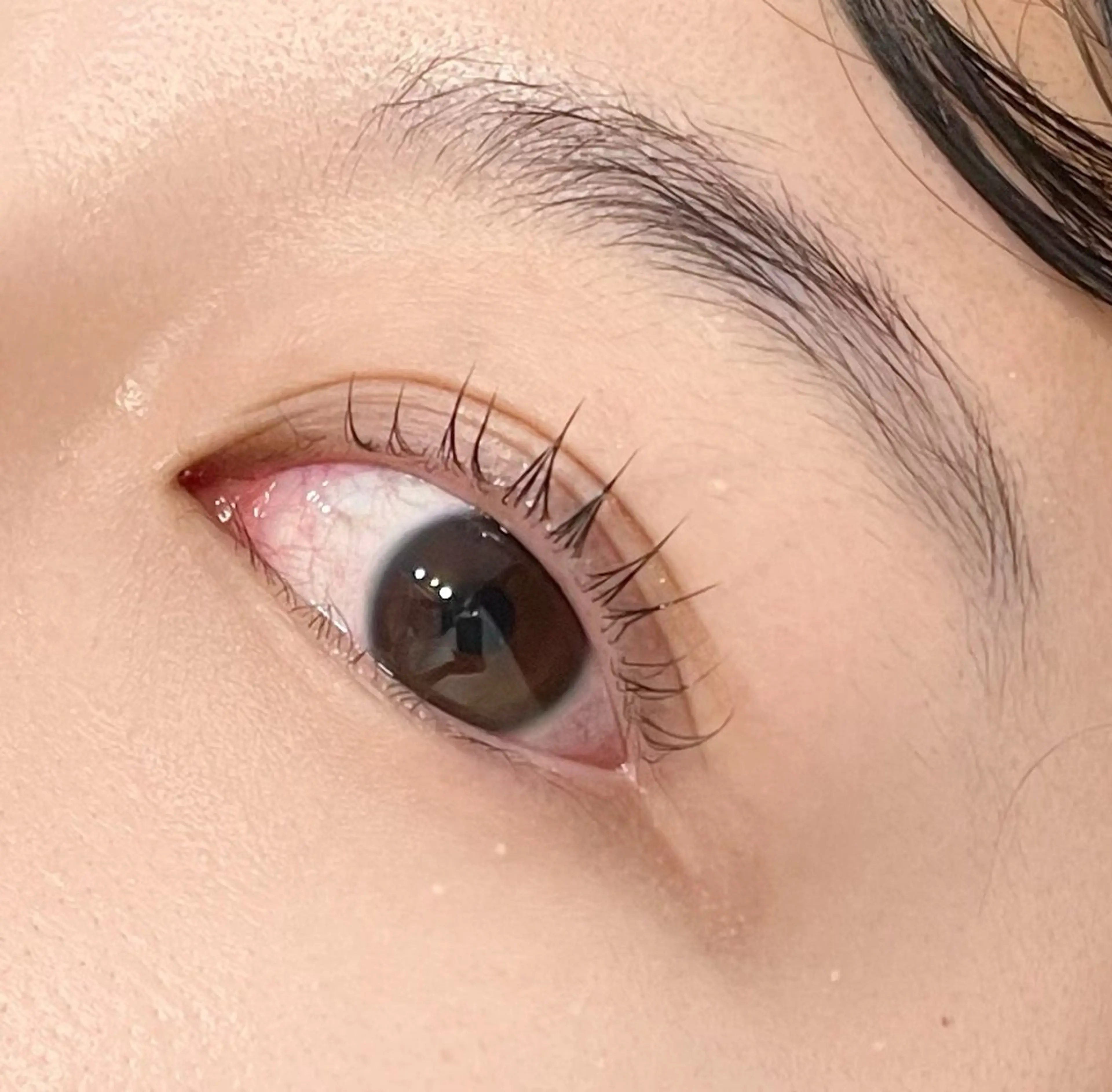 マツエク・マツパ EYELA(アイラ)柏店所属・👑EYELA 柏／ 川村👑のマツエク・マツパデザイン