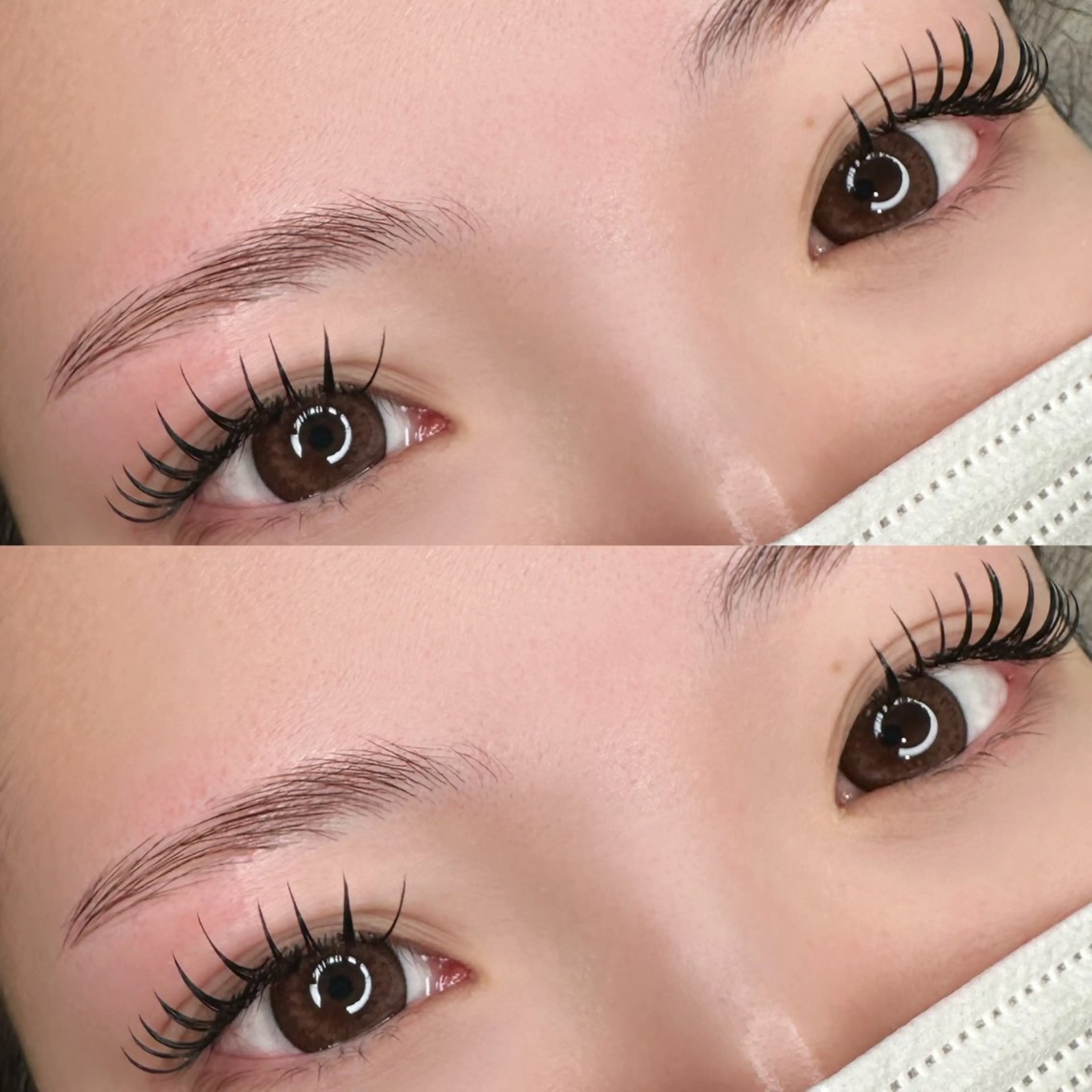 毛並みパーマ、Waxの写真