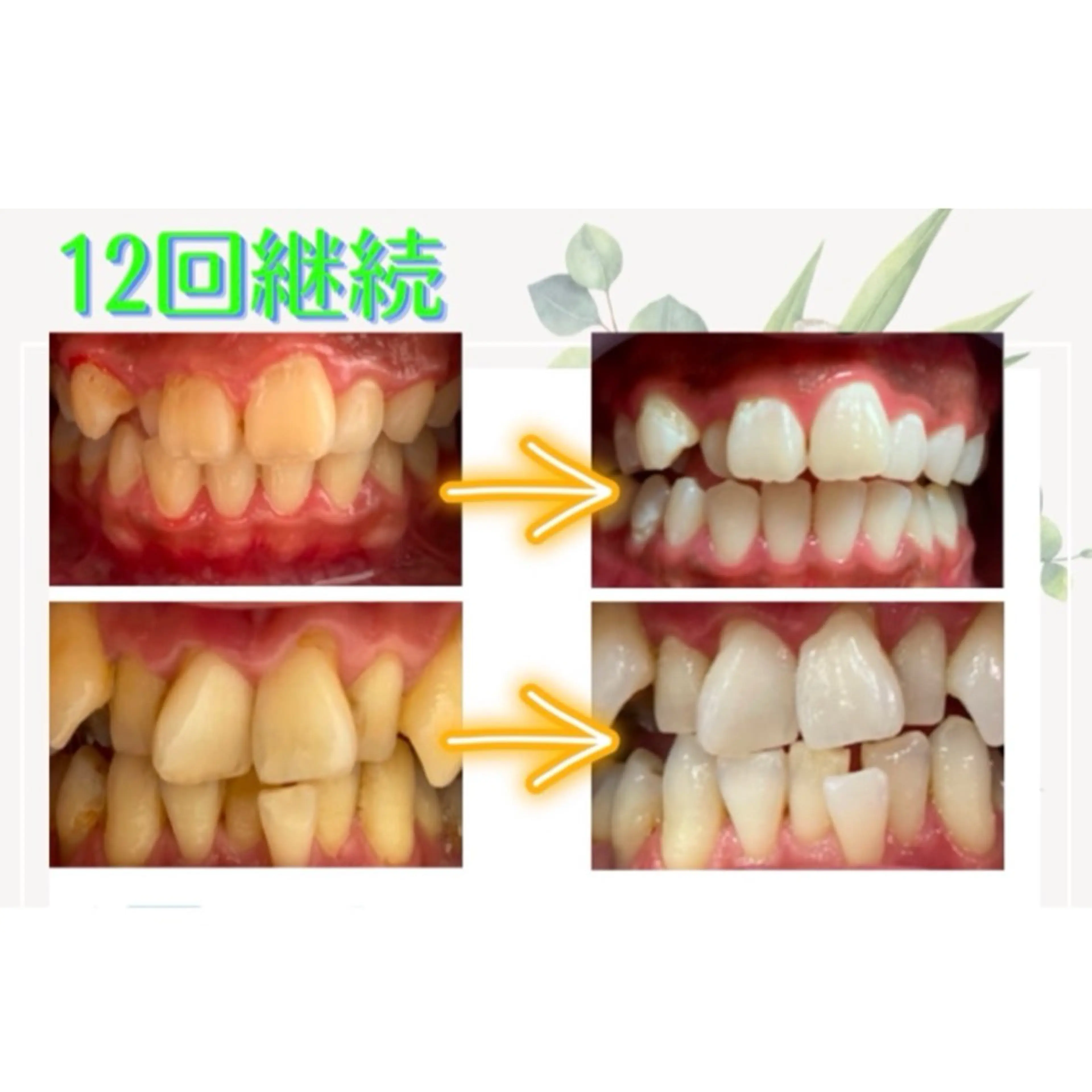 雛菊-hinagiku-所属・雛菊 -hinagiku-のその他イメージ