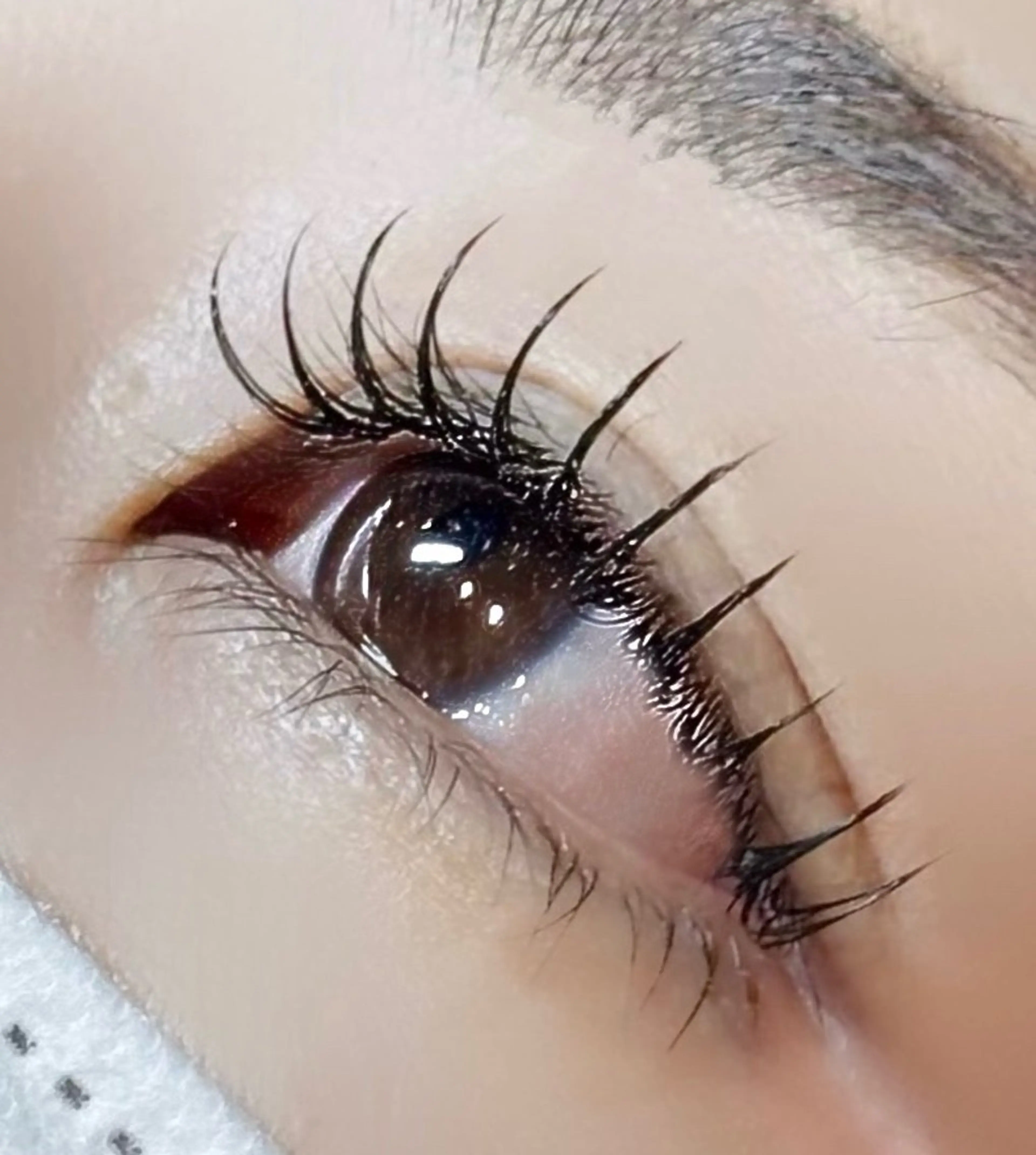 マツエク・マツパ ケラチンラッシュリフト 束感まつ毛 韓国風マツエク マツパ 【MAYU】 Nagoya eyeのマツエク・マツパデザイン