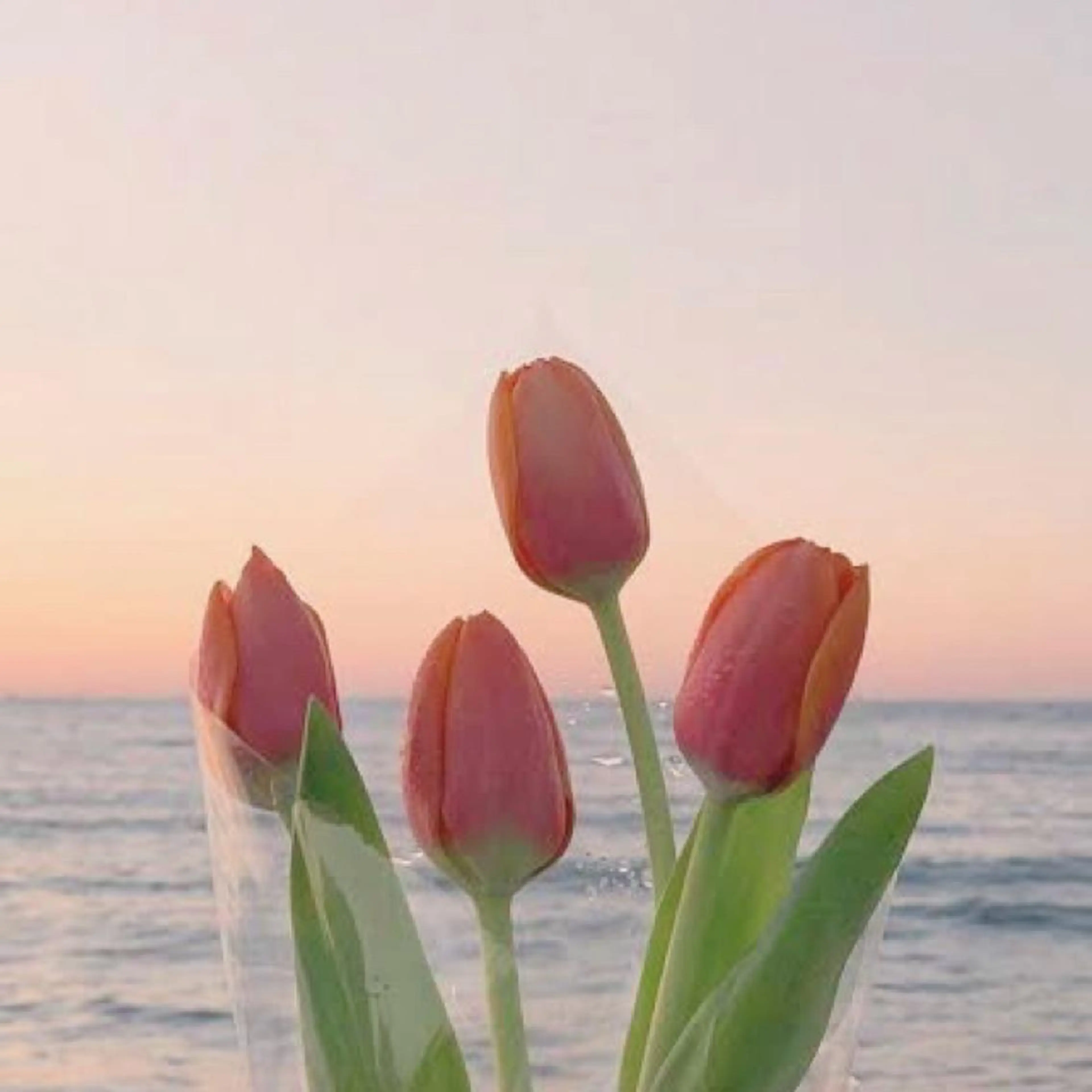 Yuka ユウカのマツエク・マツパデザイン