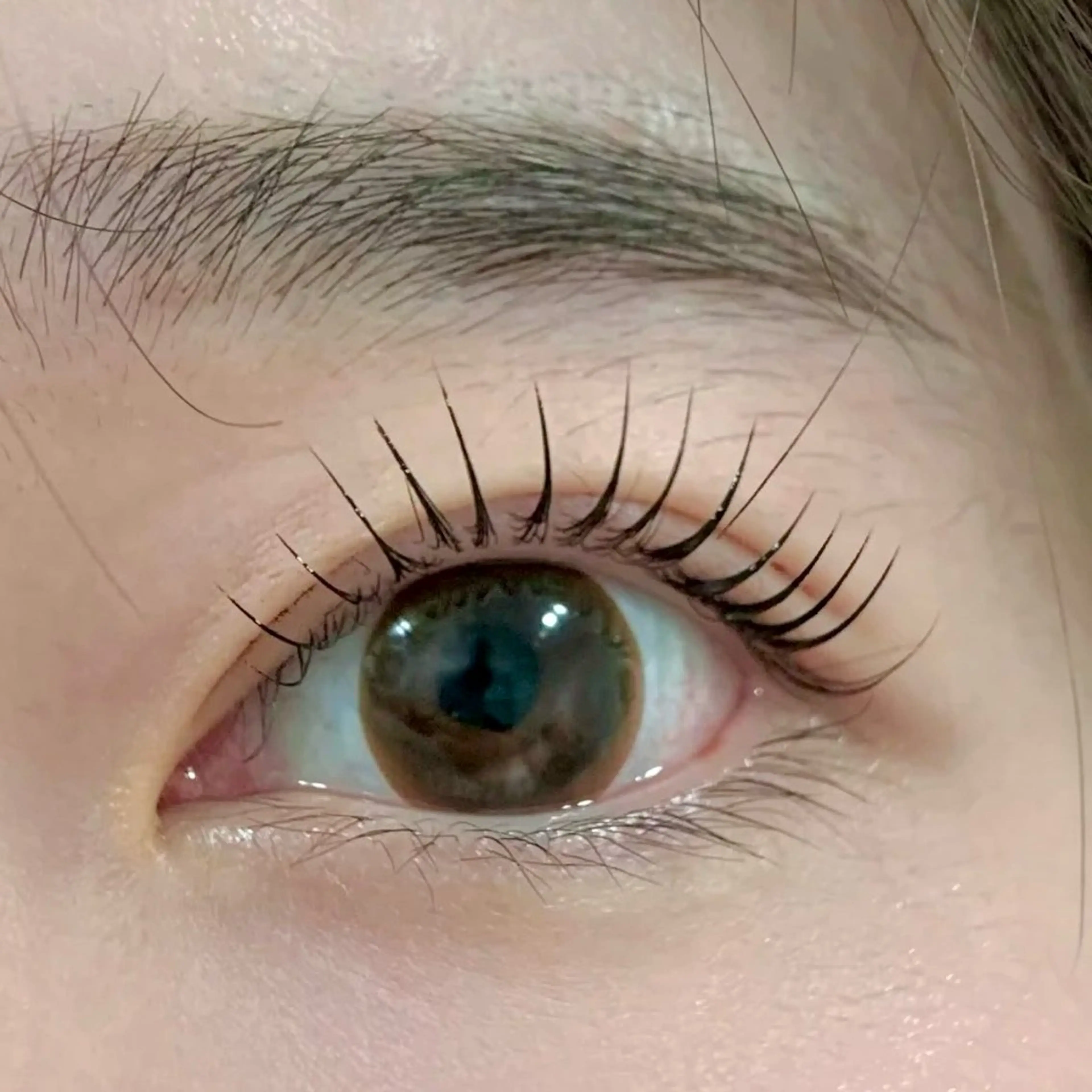 【シン専用】フラットラッシュ上100本　下20本　オフ無料の写真