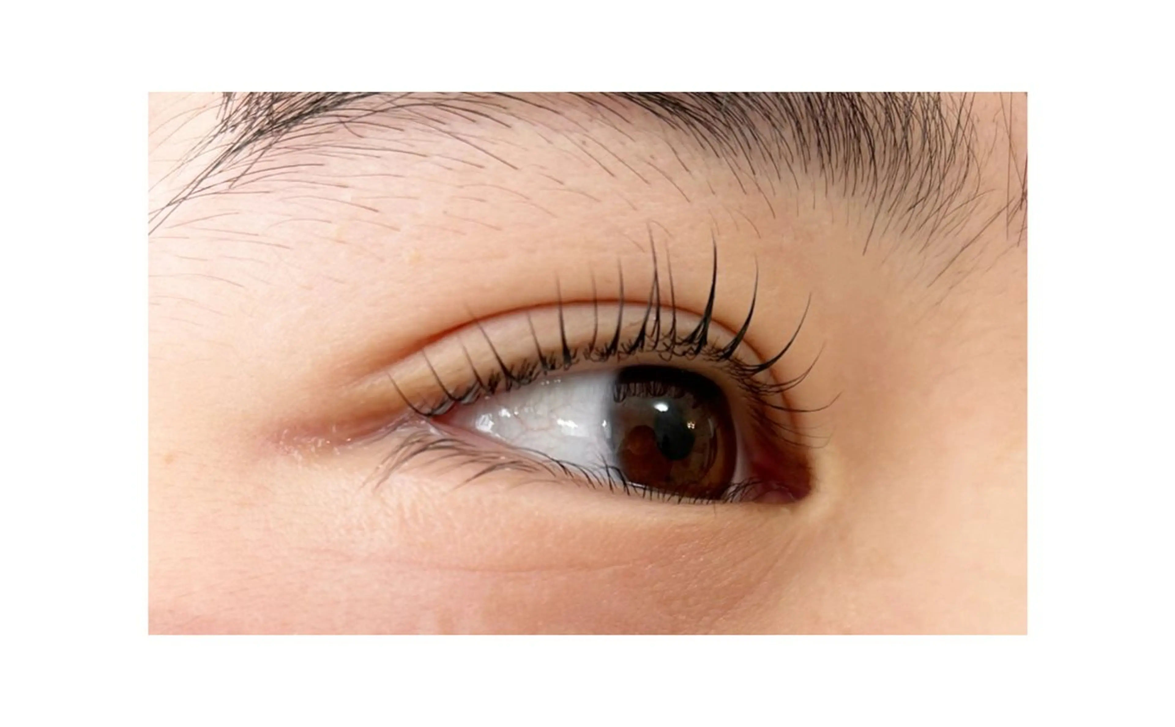 マツエク・マツパ Petit Fleur所属・青柳 亜梨奈のマツエク・マツパデザイン