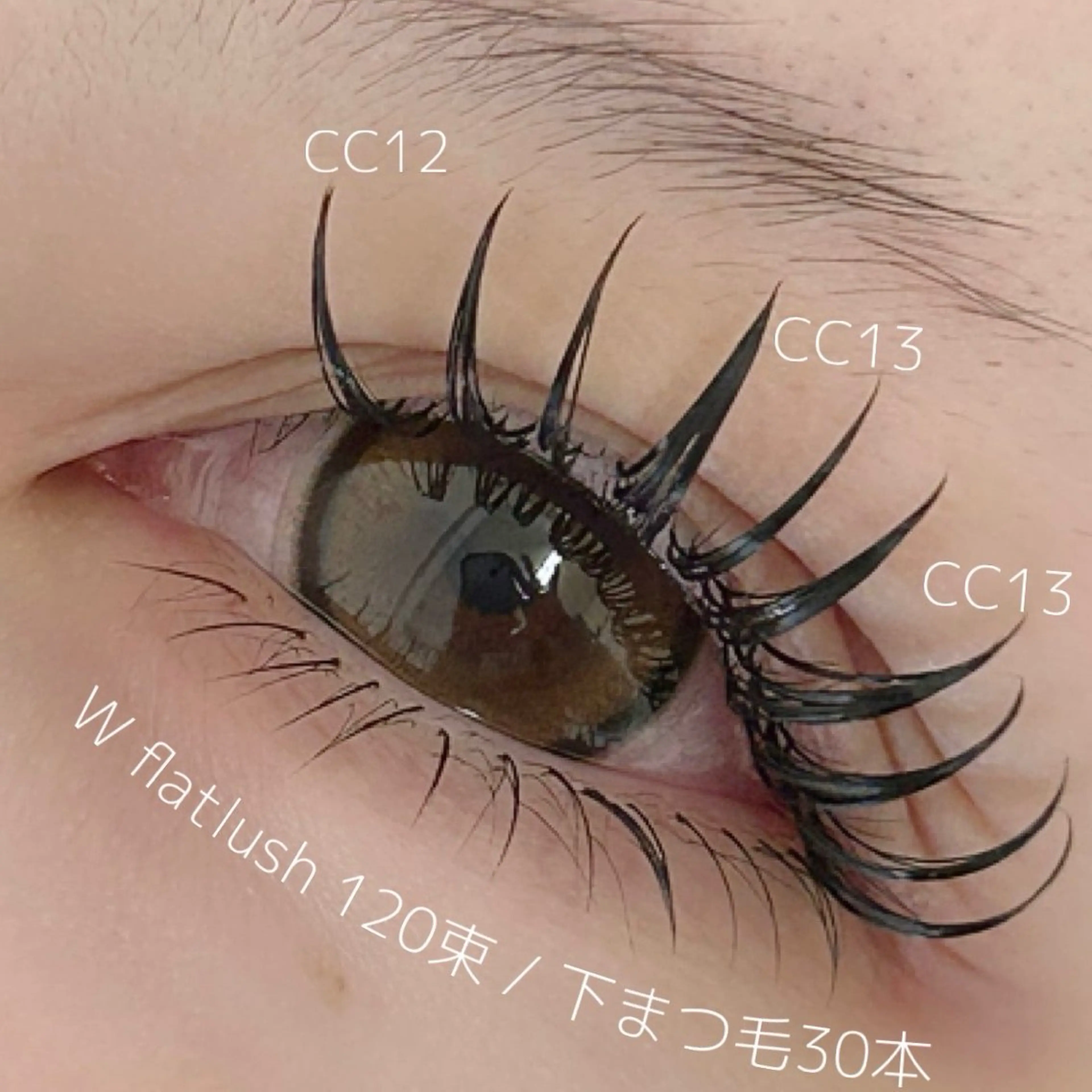 ダブルフラット🪽120束＋下エクステ付け放題（オフ別途＋500円）の写真