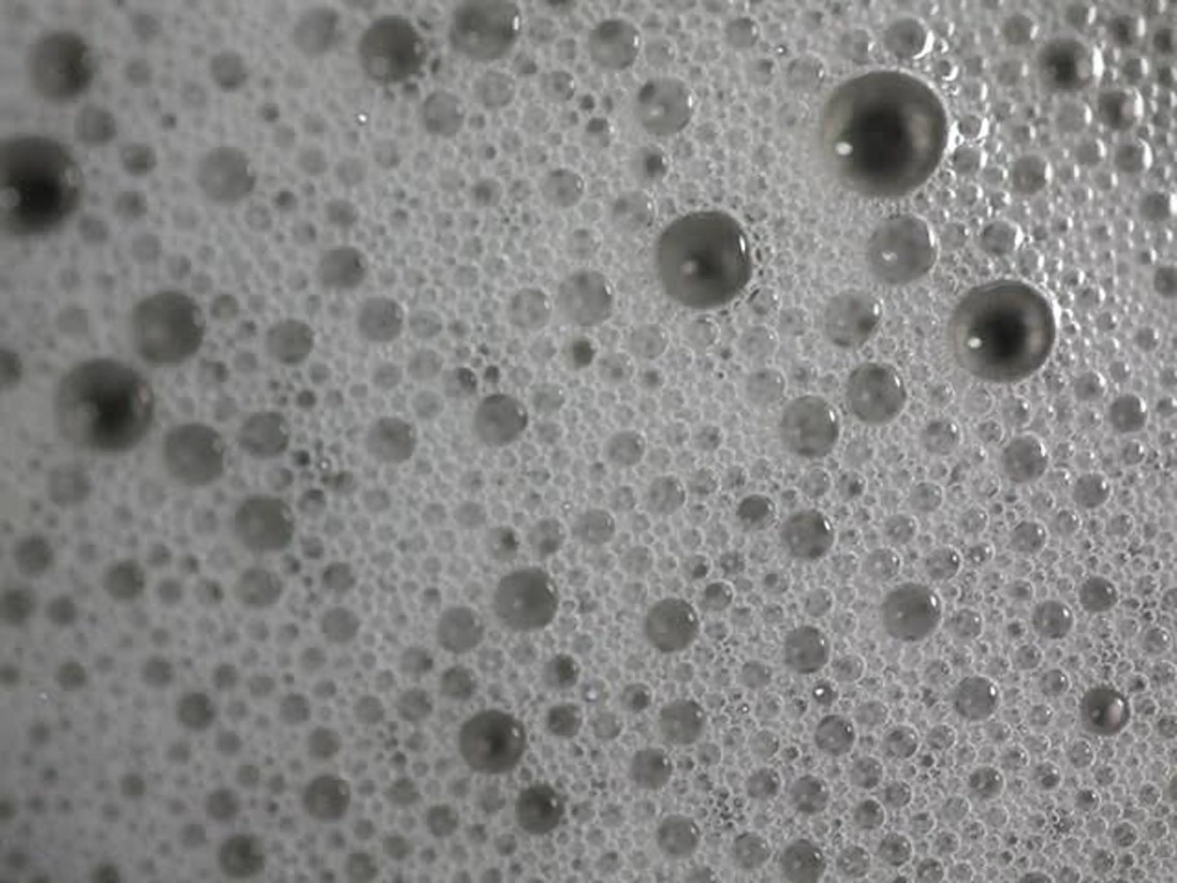 🎀【お出かけ前のスタイリング】🎀シャンプー&スタイリング🫧(ストレートorコテ巻き仕上げ)ブロー込みの写真