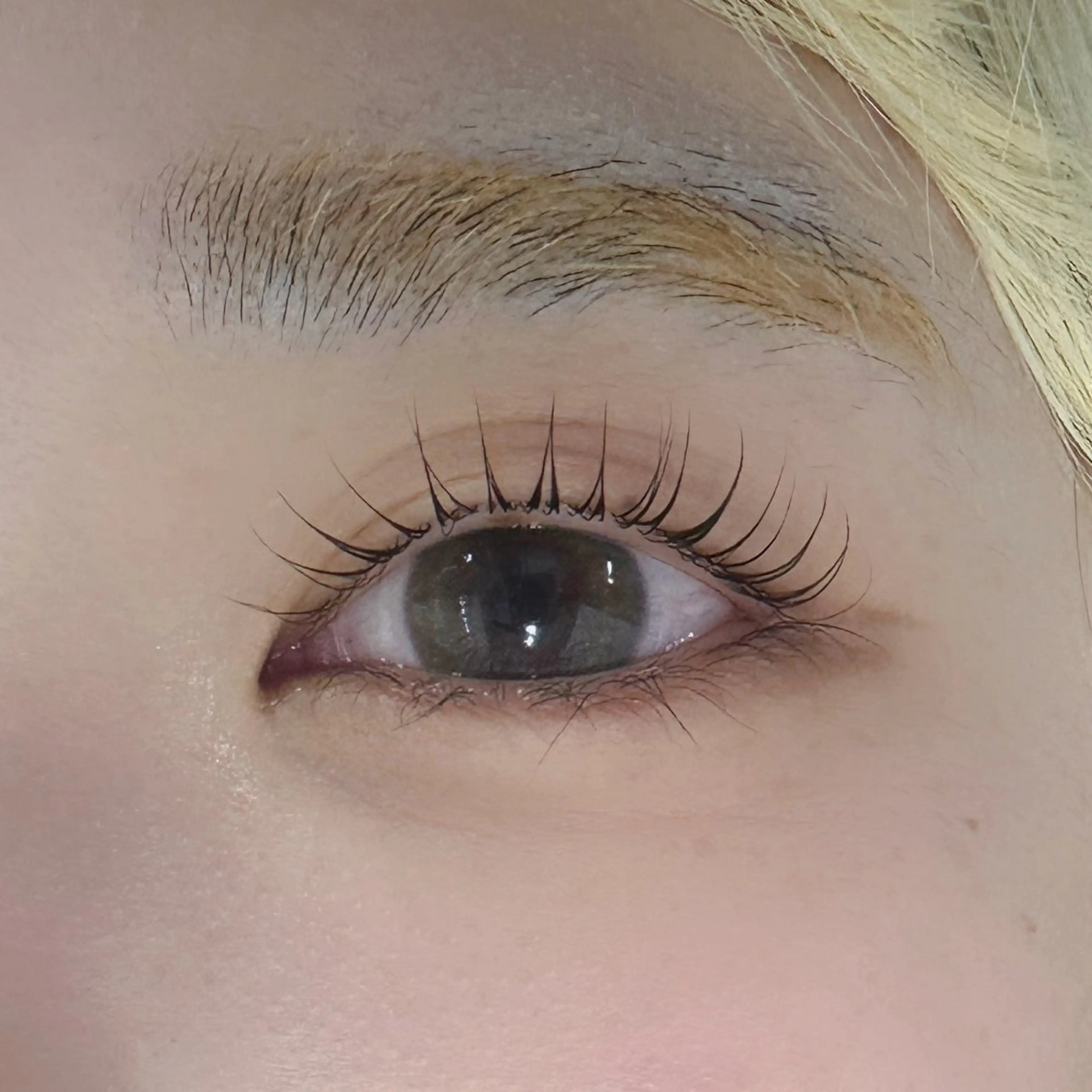 マツエク・マツパ サクラブロウ渋谷 中兼のマツエク・マツパデザイン