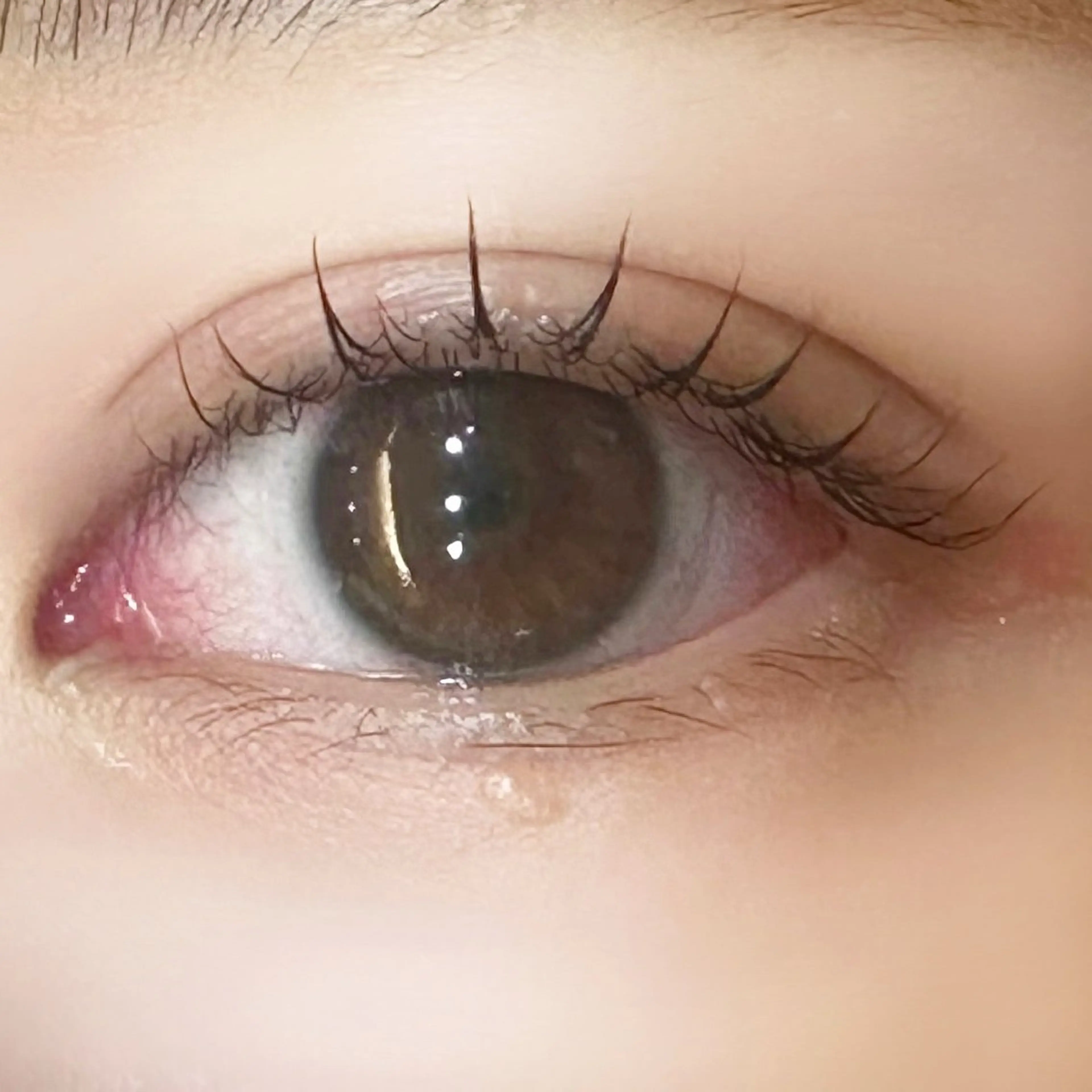 まつ毛パーマ🌀【まつ毛トリートメント付】の写真