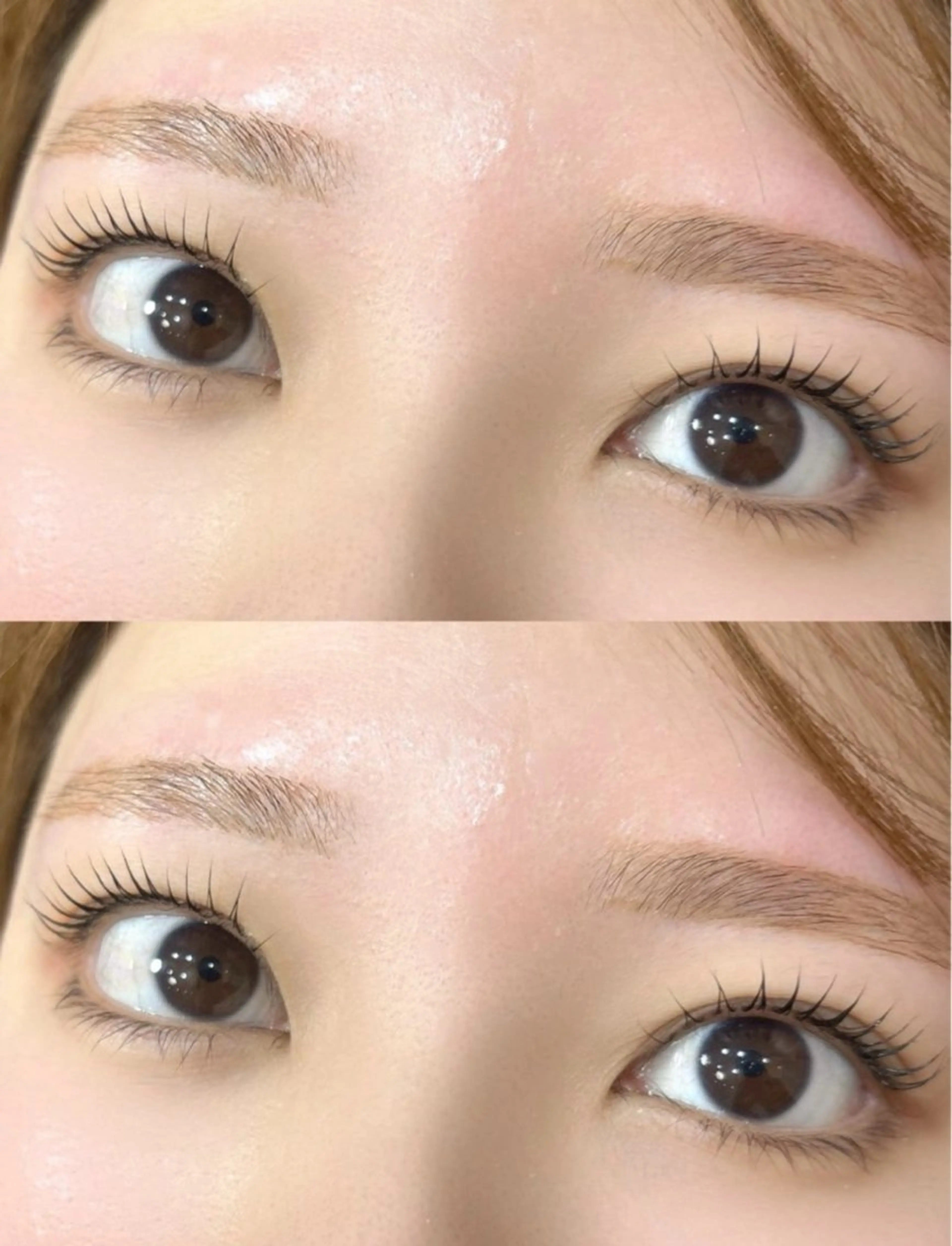 フラットラッシュ 140本🪻の写真