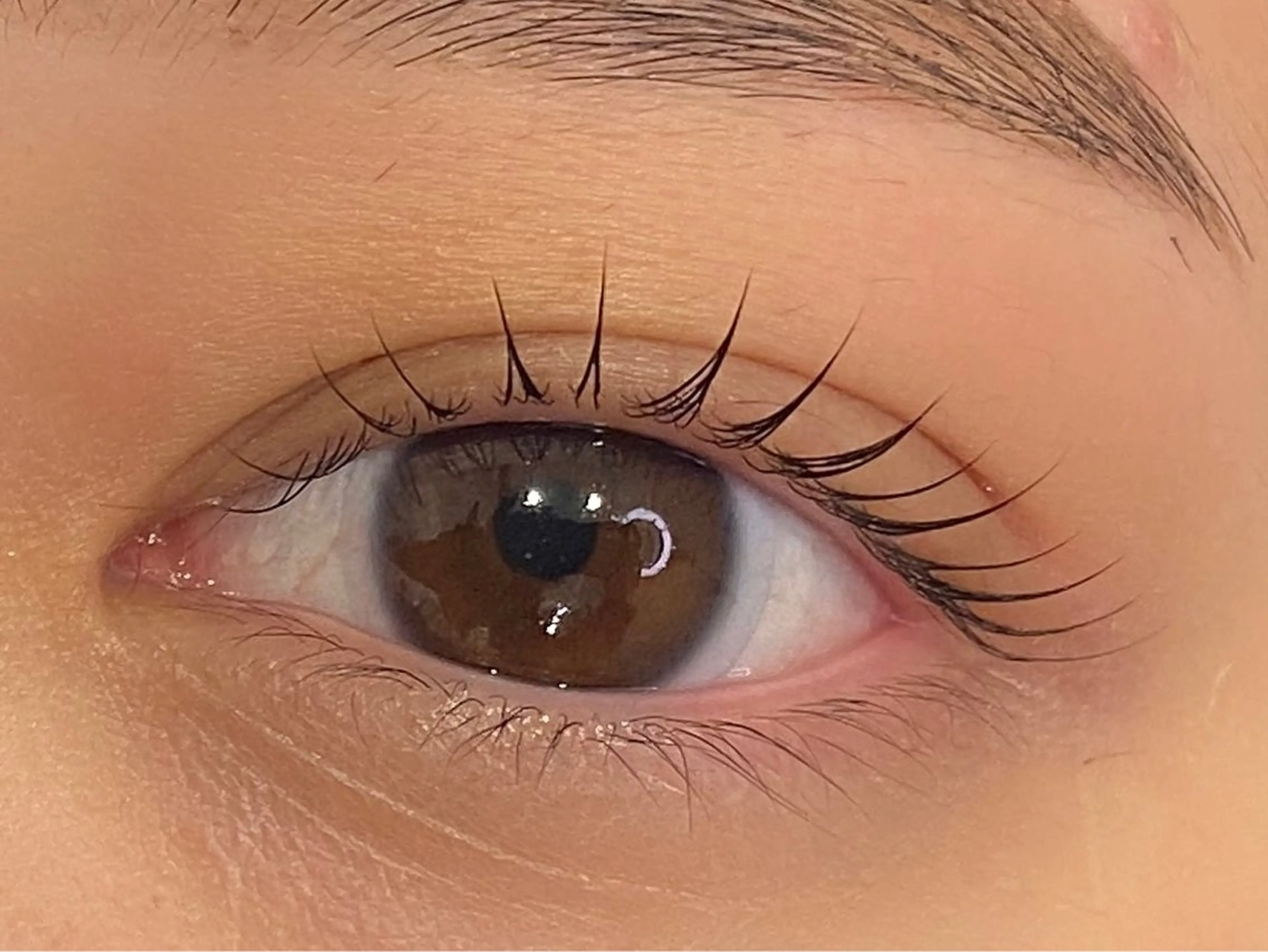 《リペア不可》より長持ち‼️オフあり！LEDエクステ(80本​〜​100本目安)時間内に付けられるだけ🕊の写真