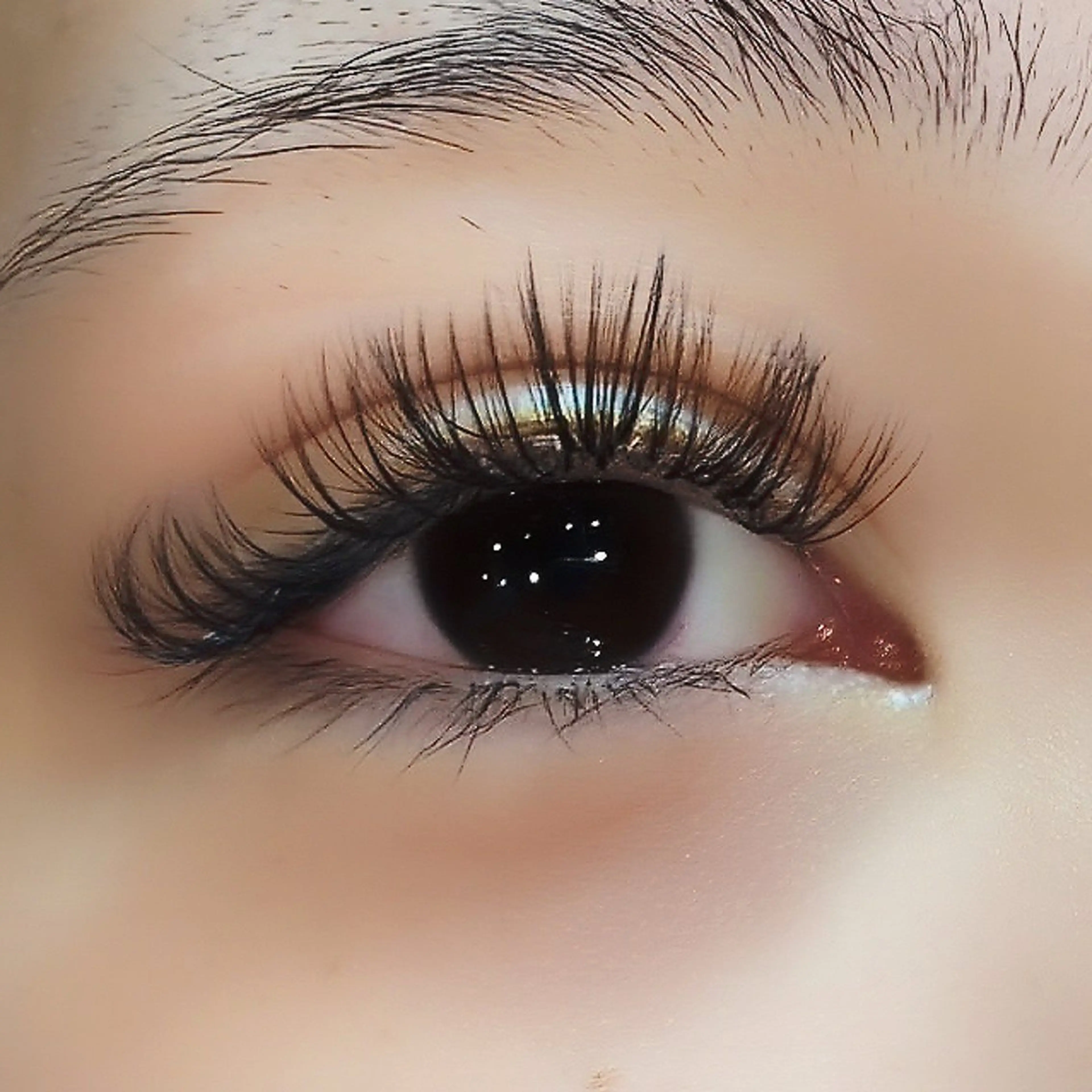 6-10D 80束 (オフ別途1,000円)の写真