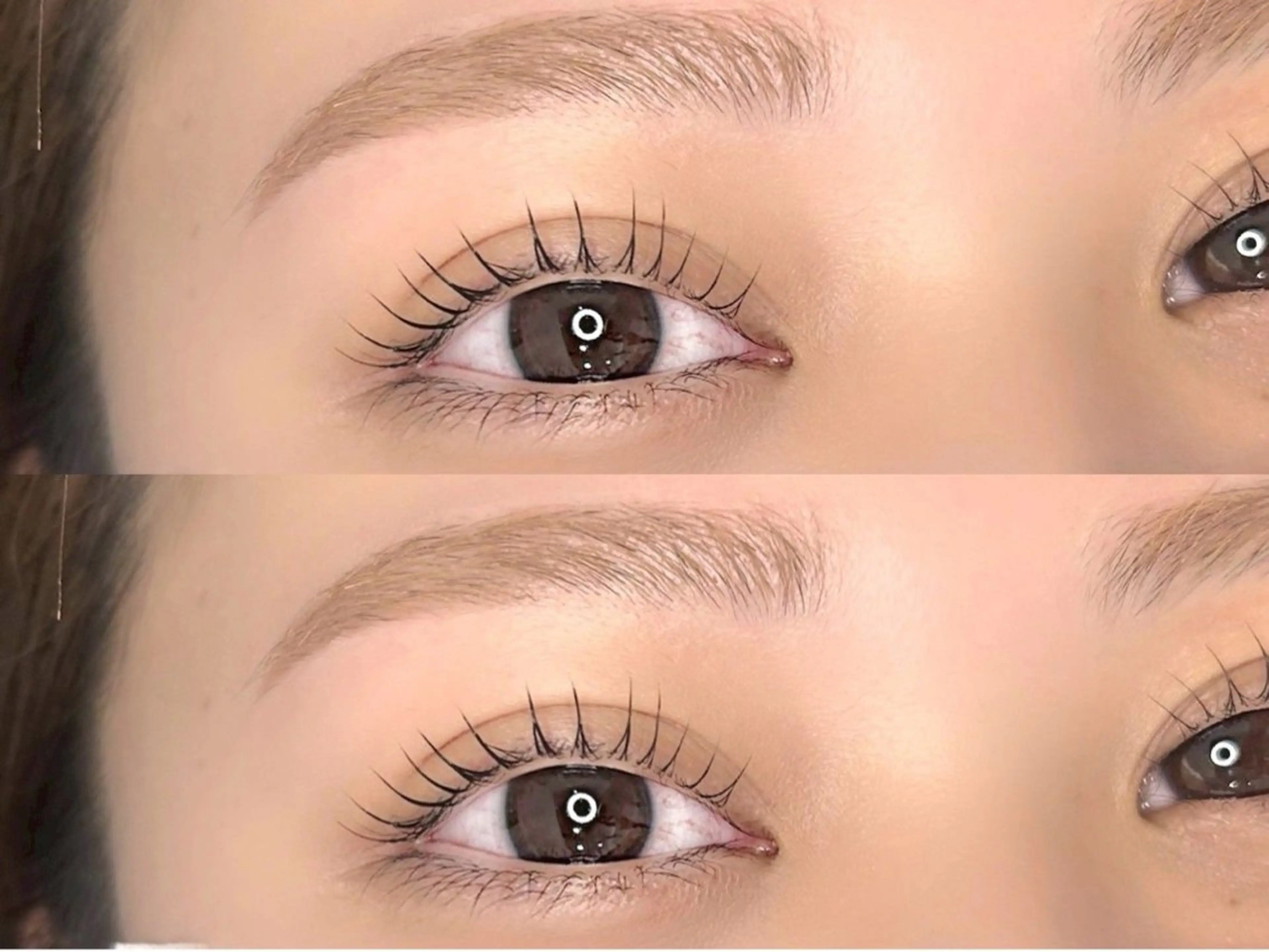 マツエク・マツパ 眉毛✖️まつ毛パーマ　prima 池袋店　研修施設所属・キド ハルカのマツエク・マツパデザイン