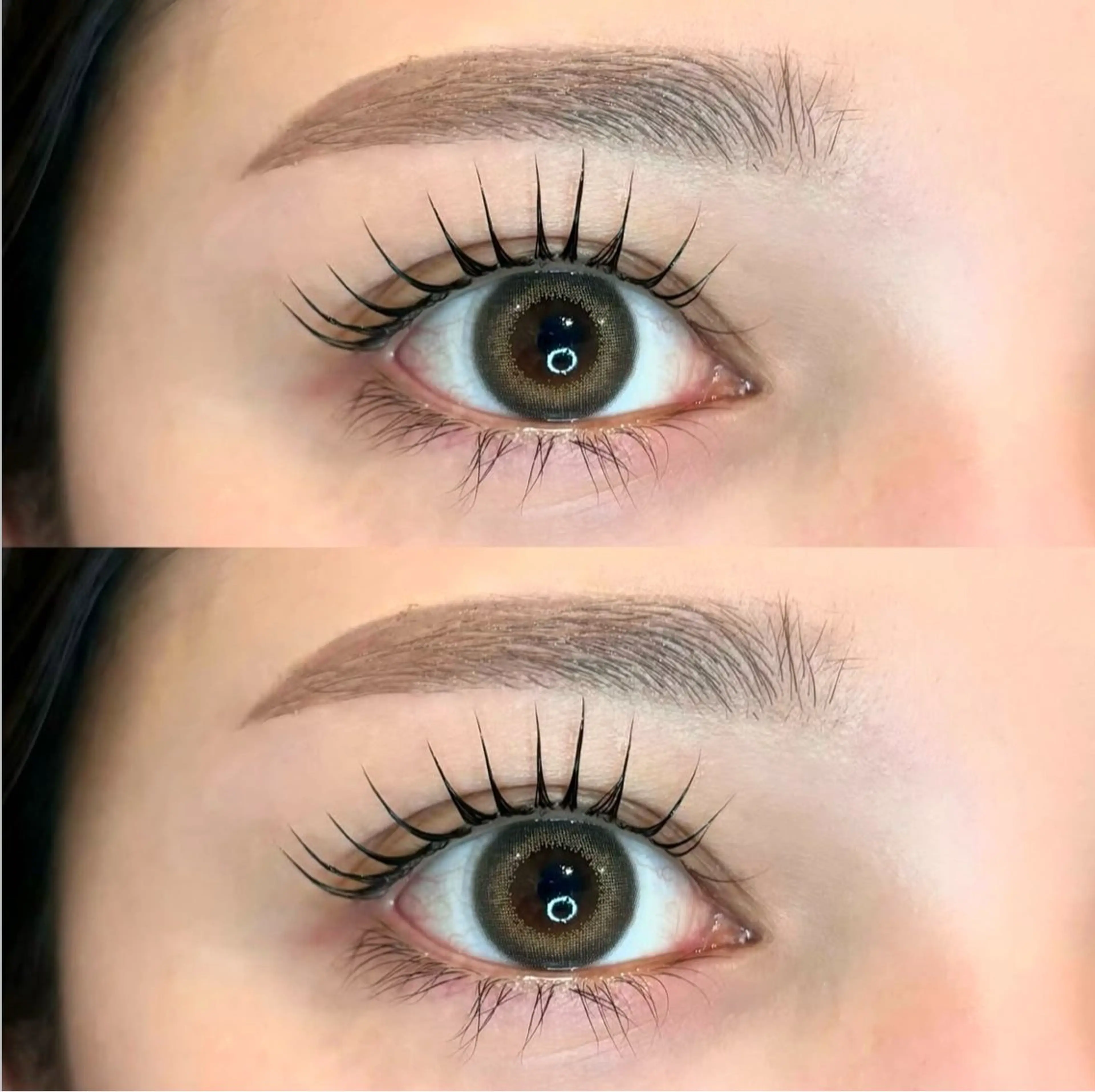 ãéåœé¢šãææãŸã€ãã©ãã·ã¥ãªãã&çŸçã¢ã€ãããŠâªÂ¥12650âÂ¥10530ã®åç