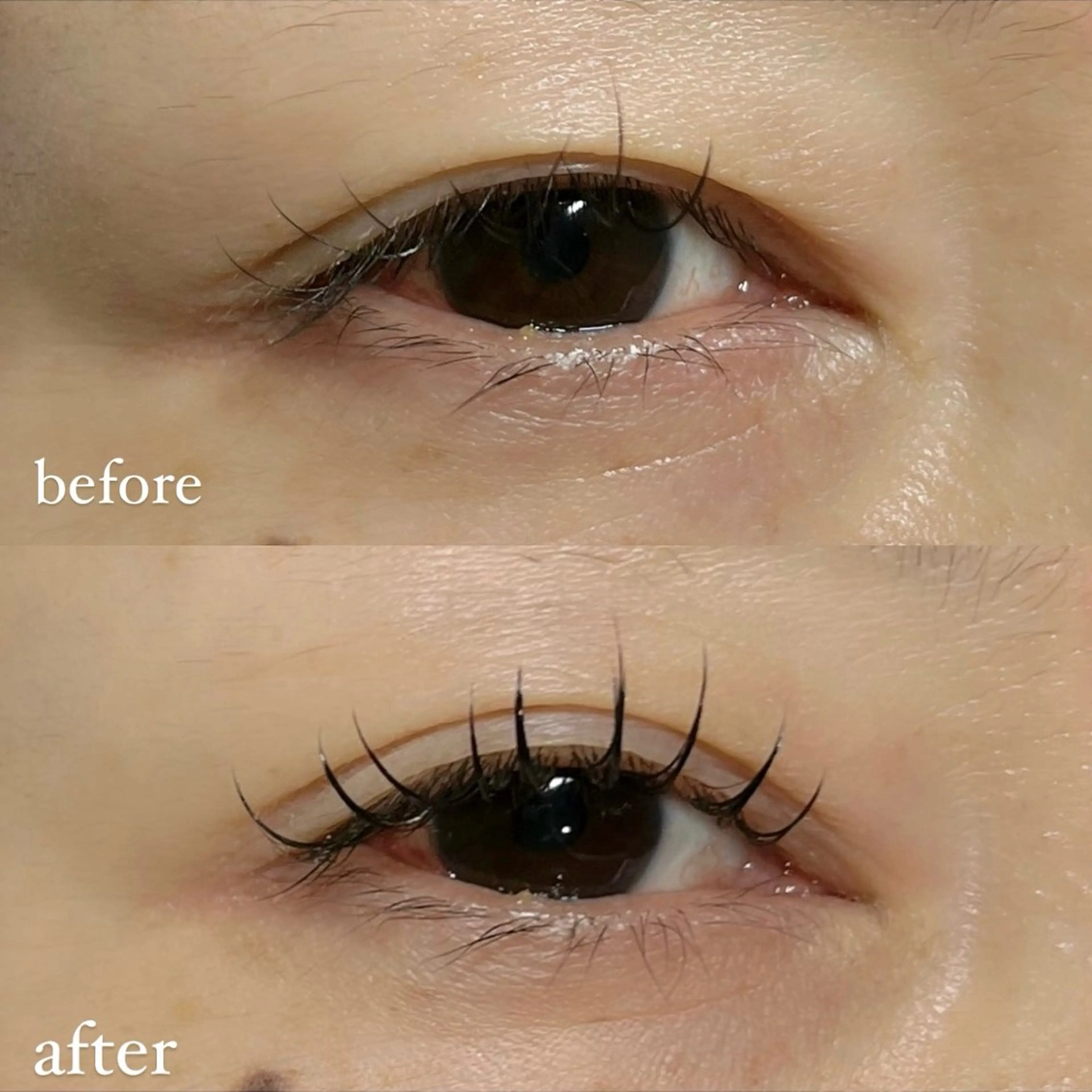 【⠀LEDマツエク  】フラットマットラッシュ120本🩵 オフ込み¥5,200の写真