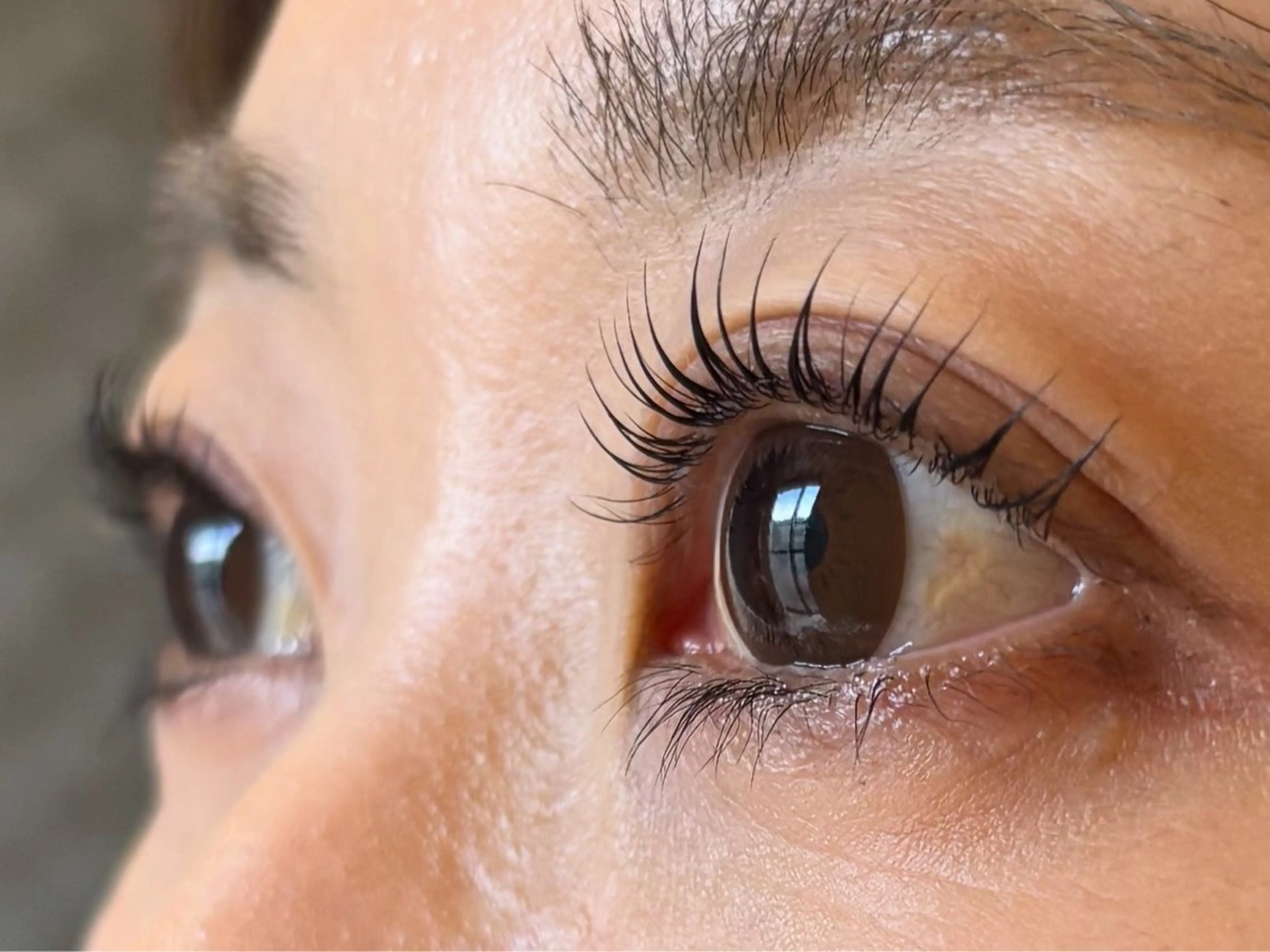 マツエク・マツパ 一重×まつ毛パーマ eyelash salon Tonny所属・西山 麻衣のマツエク・マツパデザイン