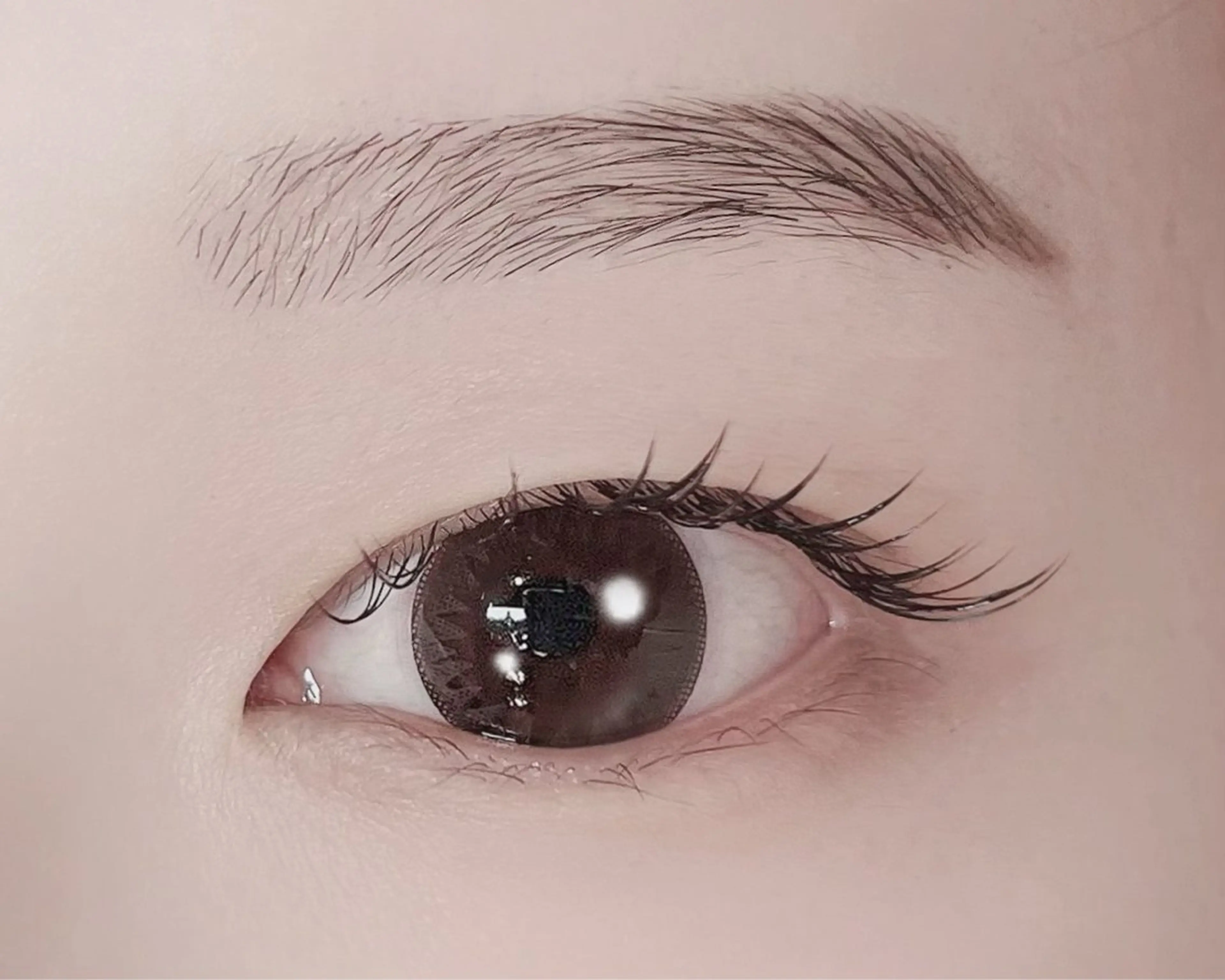 ⭐️ ご新規様⭐️セーブル上まつ毛100本（オフ込み）高級コーティング💐の写真