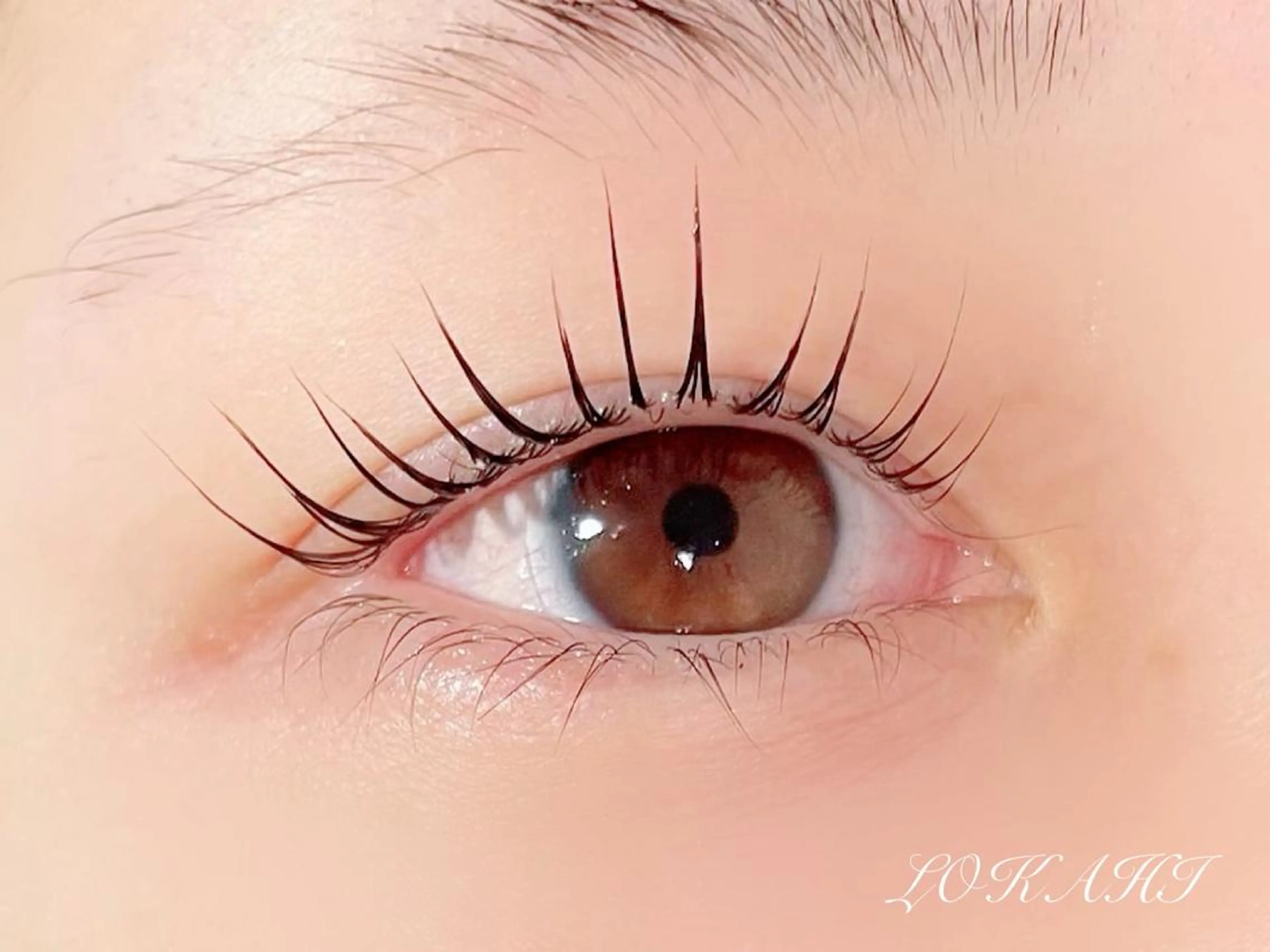 マツエク・マツパ LOKAHI 矢原のマツエク・マツパデザイン