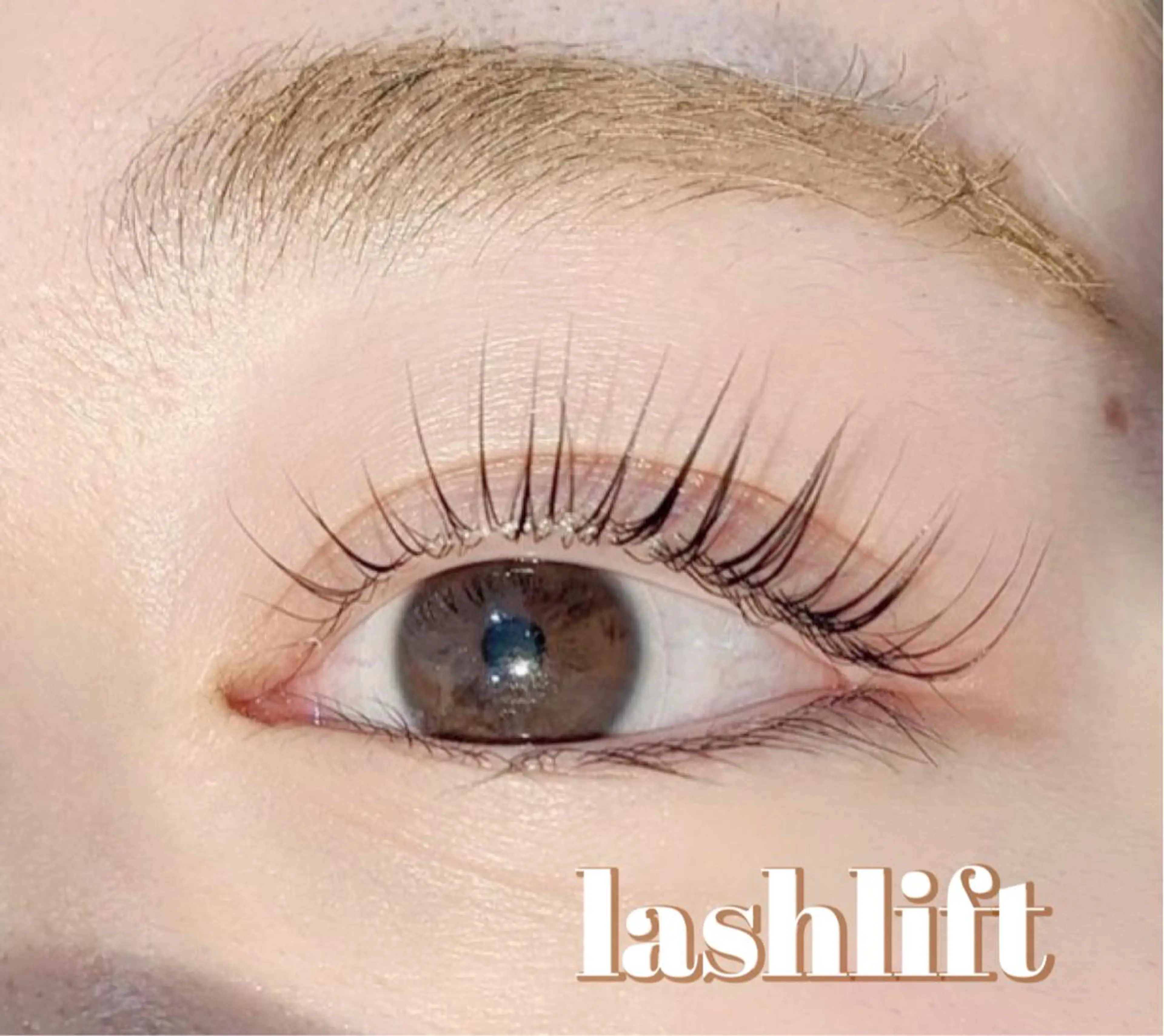 マツエク・マツパ マツパ CERISIER  [スリジェ]所属・CERISIER ［スリジェ］のマツエク・マツパデザイン