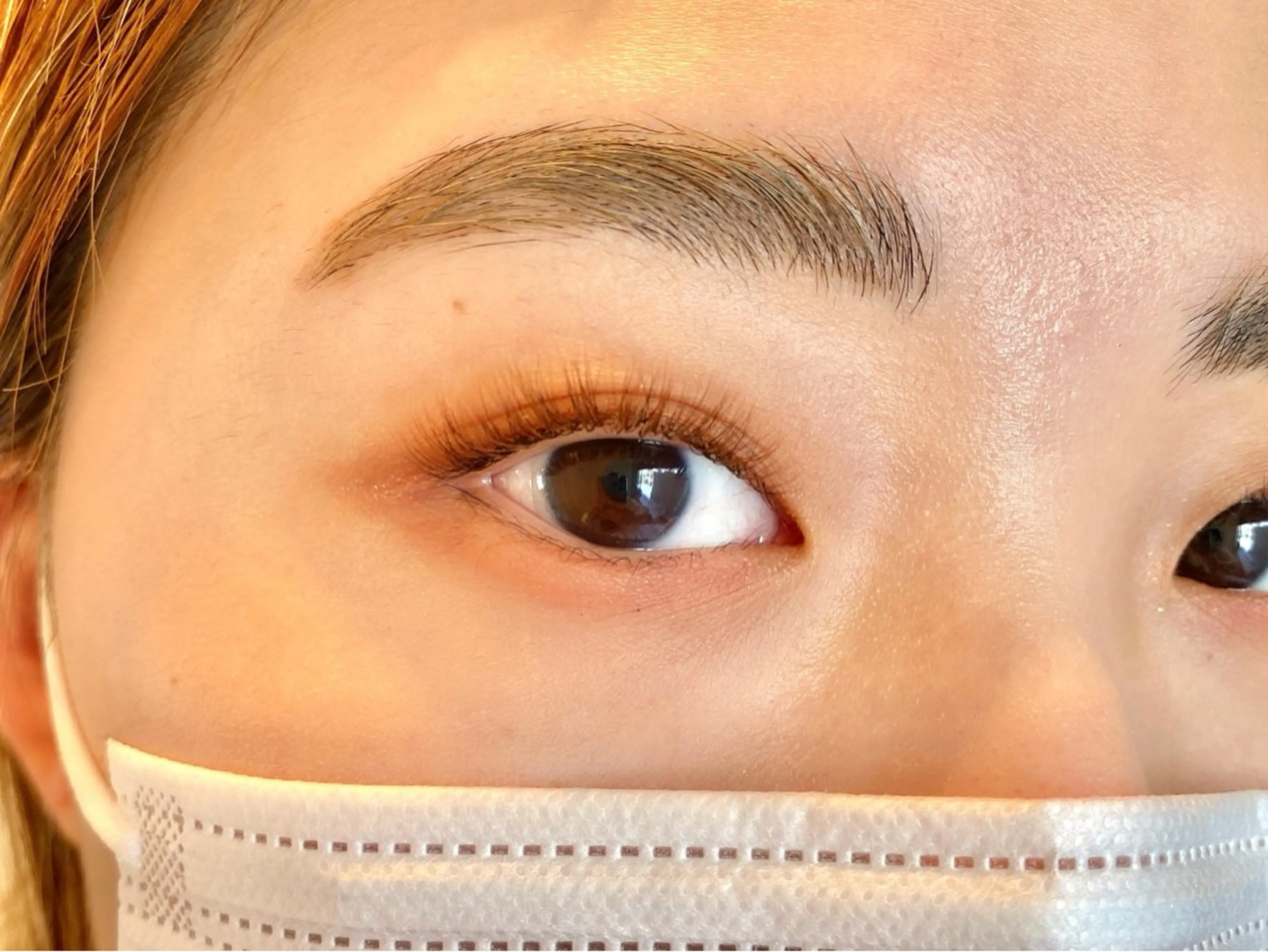 《プリメイド使用》パリジェンヌ×ボリュームラッシュ300本（100束）オフ無料の写真