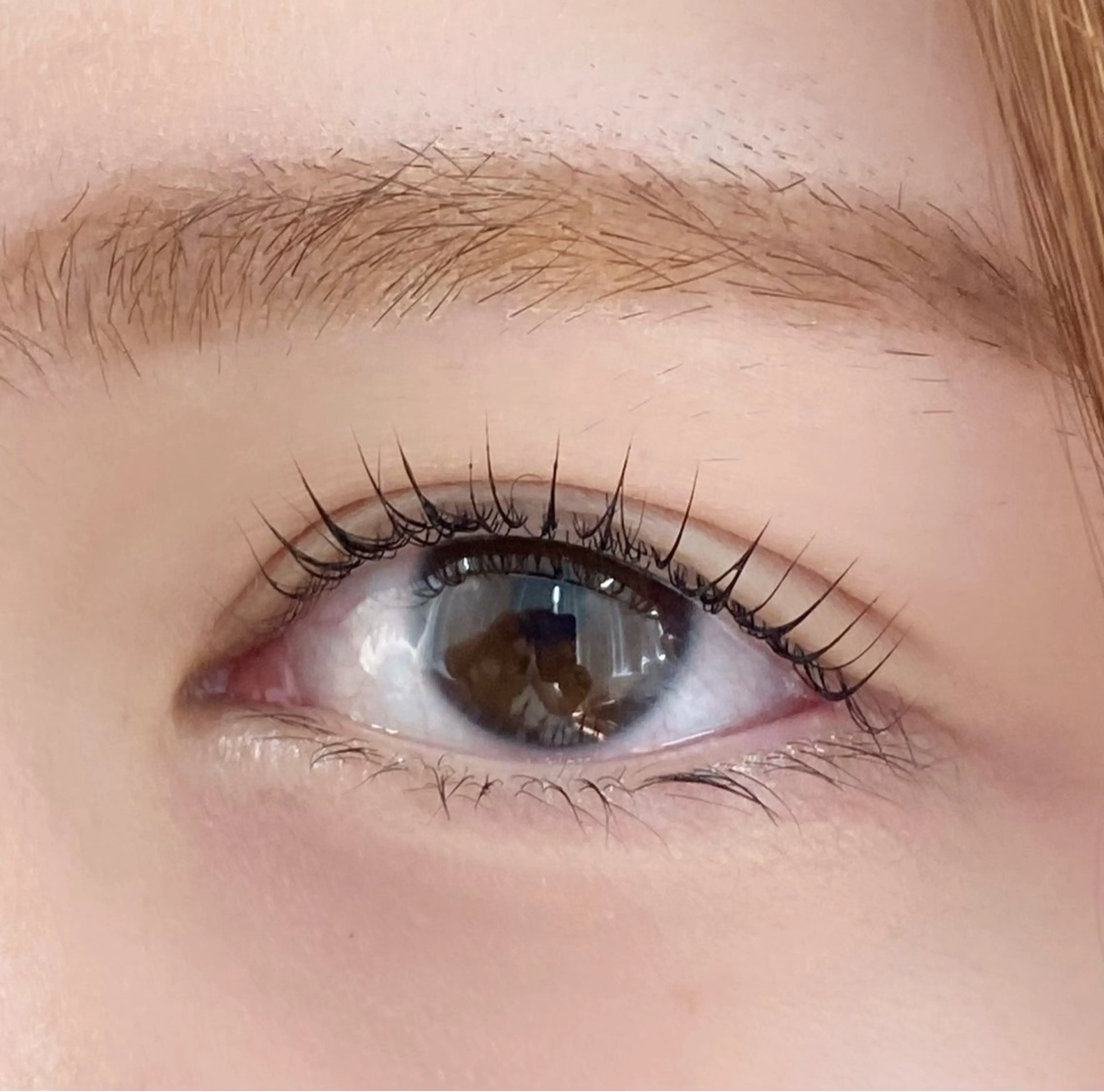 マツエク・マツパ 🍒Fuka🐻 無料モデル募集中💎の眉毛・アイブロウイメージ