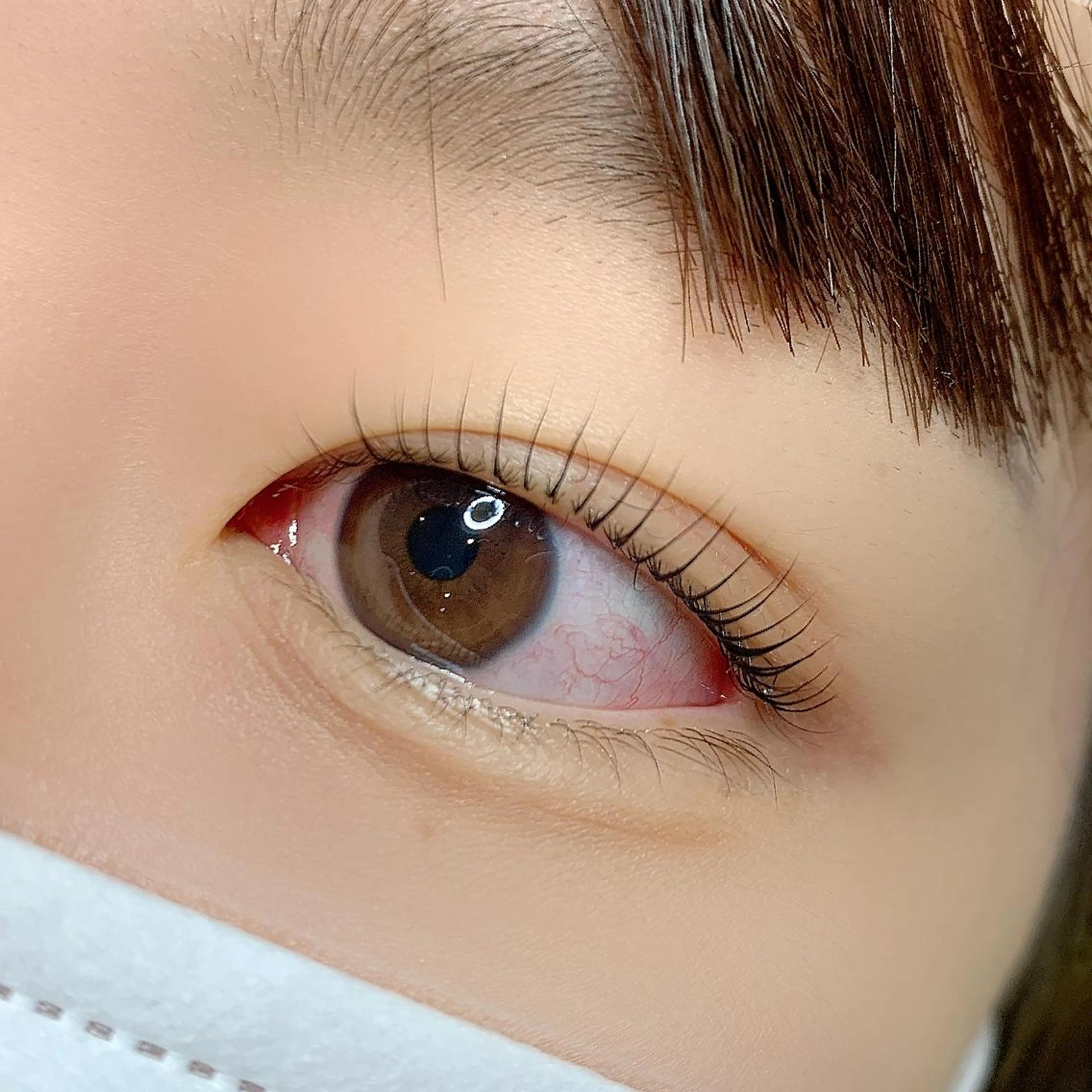 マツエク・マツパ まつげパーマ AYLASH石川 韓国風/カラエクのマツエク・マツパデザイン