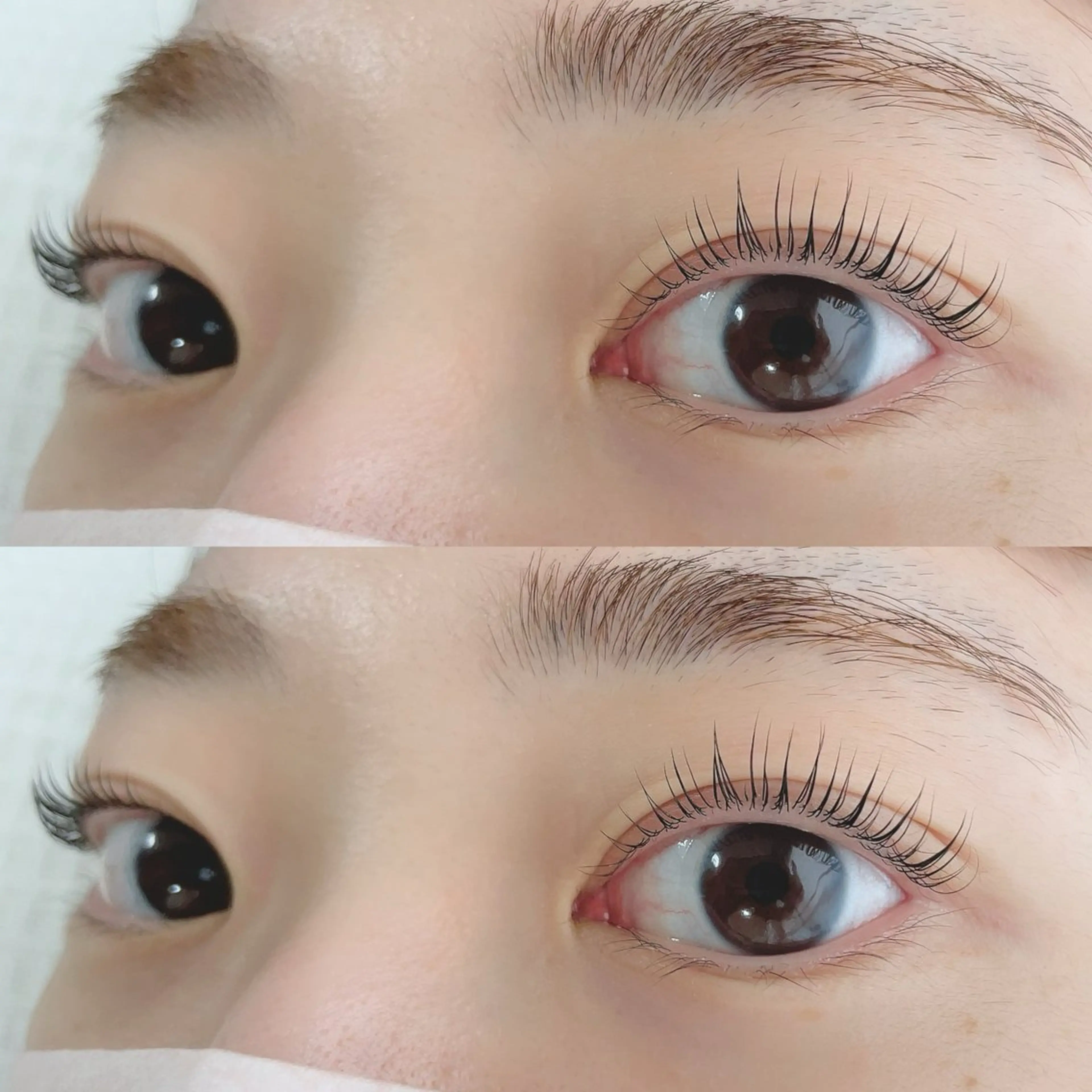 マツエク・マツパ マツパ 【Aile】 YUKAのマツエク・マツパデザイン