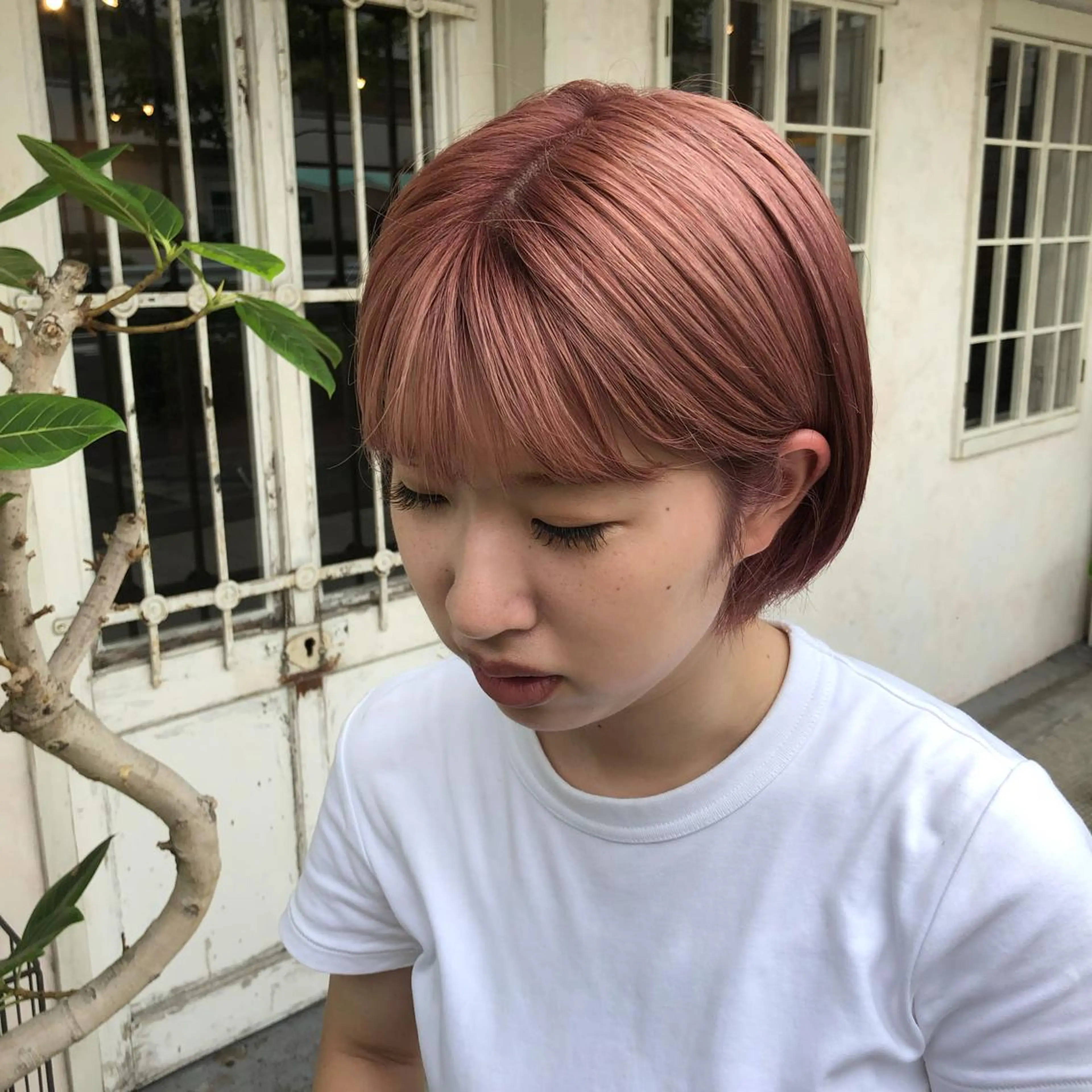 ショート 泊 紗羅のヘアスタイル