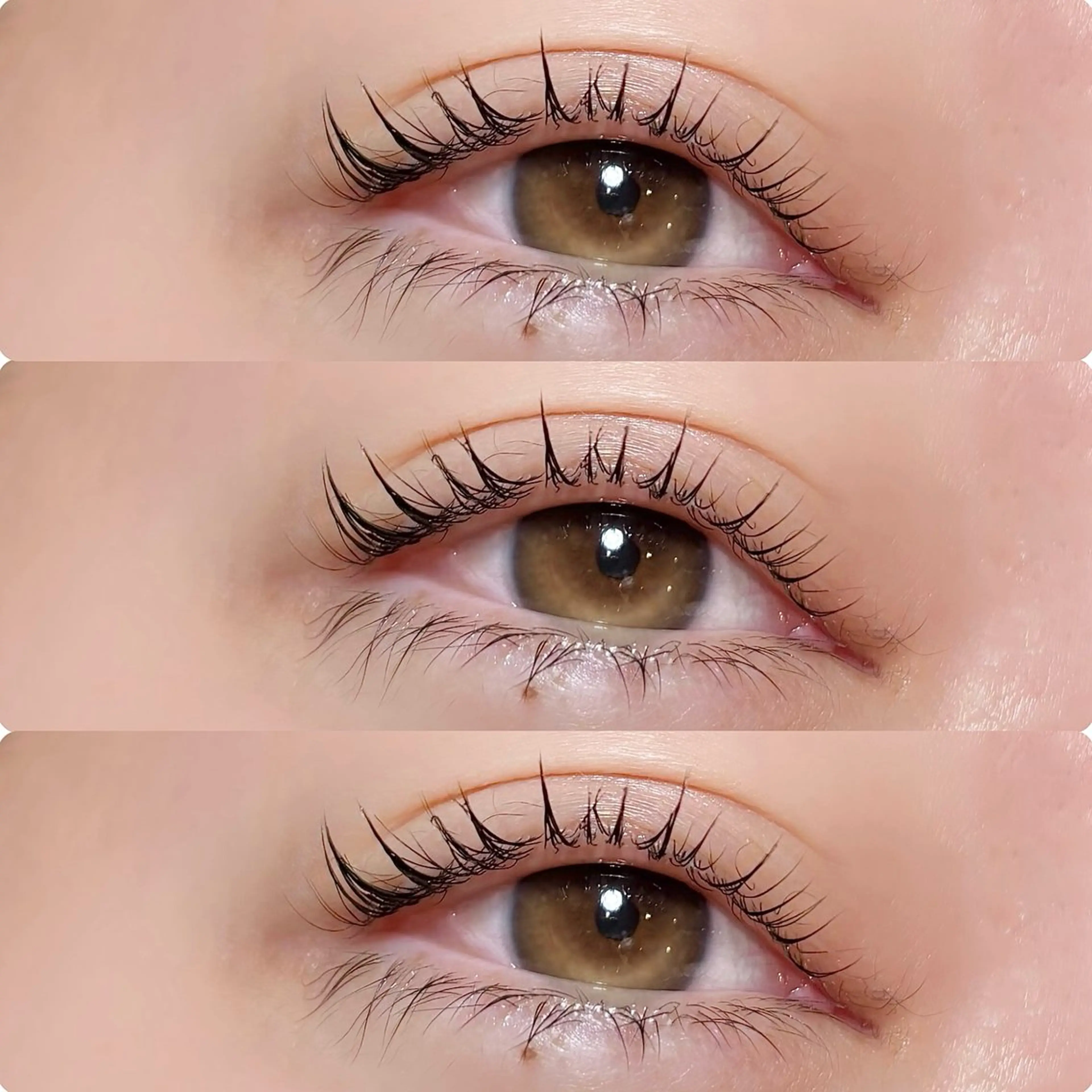 マツエク・マツパ meguru／マツパ ／マツエク／束感のマツエク・マツパデザイン