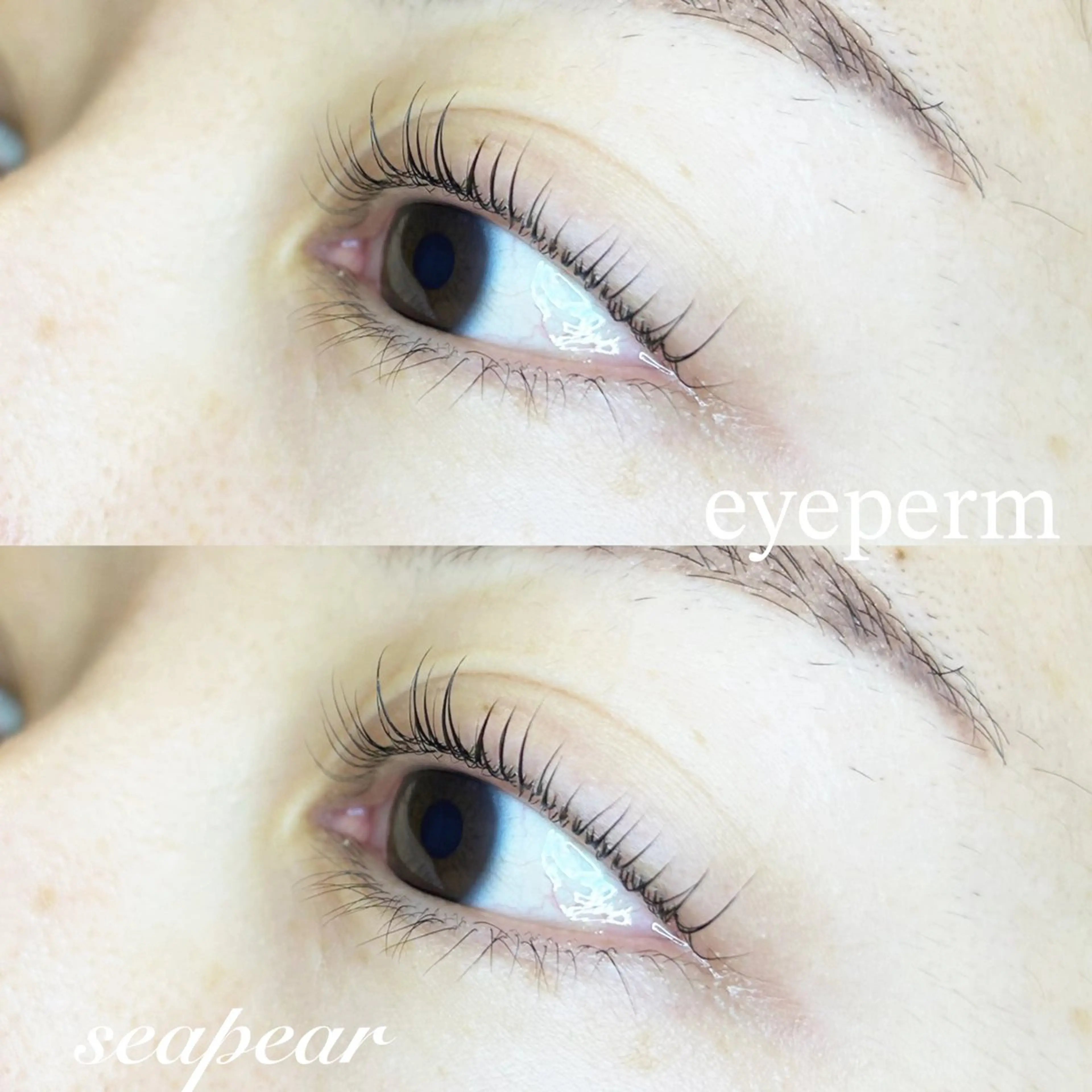 マツエク・マツパ 井上 智絵のマツエク・マツパデザイン