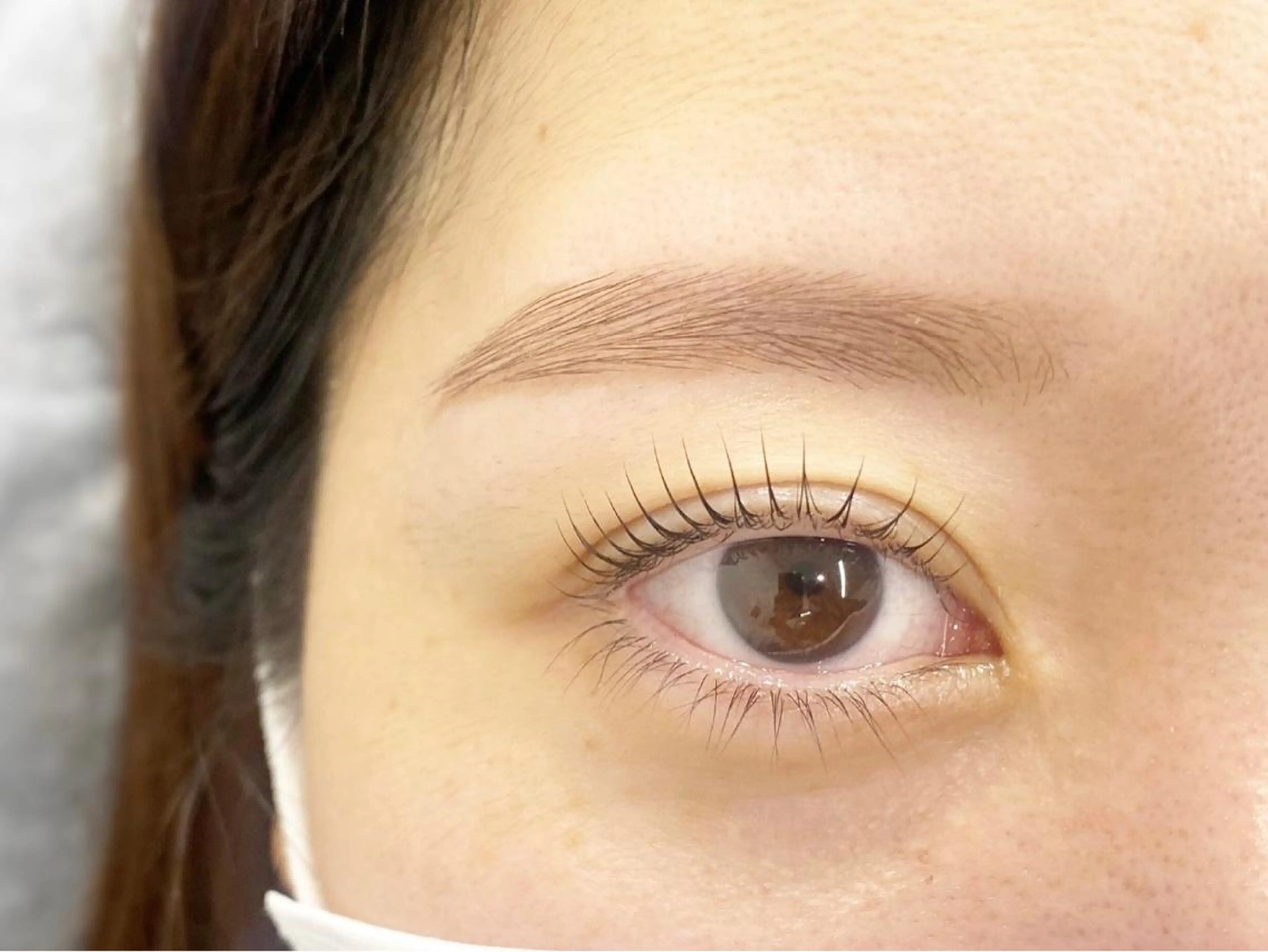 【当日予約OK‼️】無料まつ毛パーマモデル募集✨️《🚺女性限定》🦋の写真