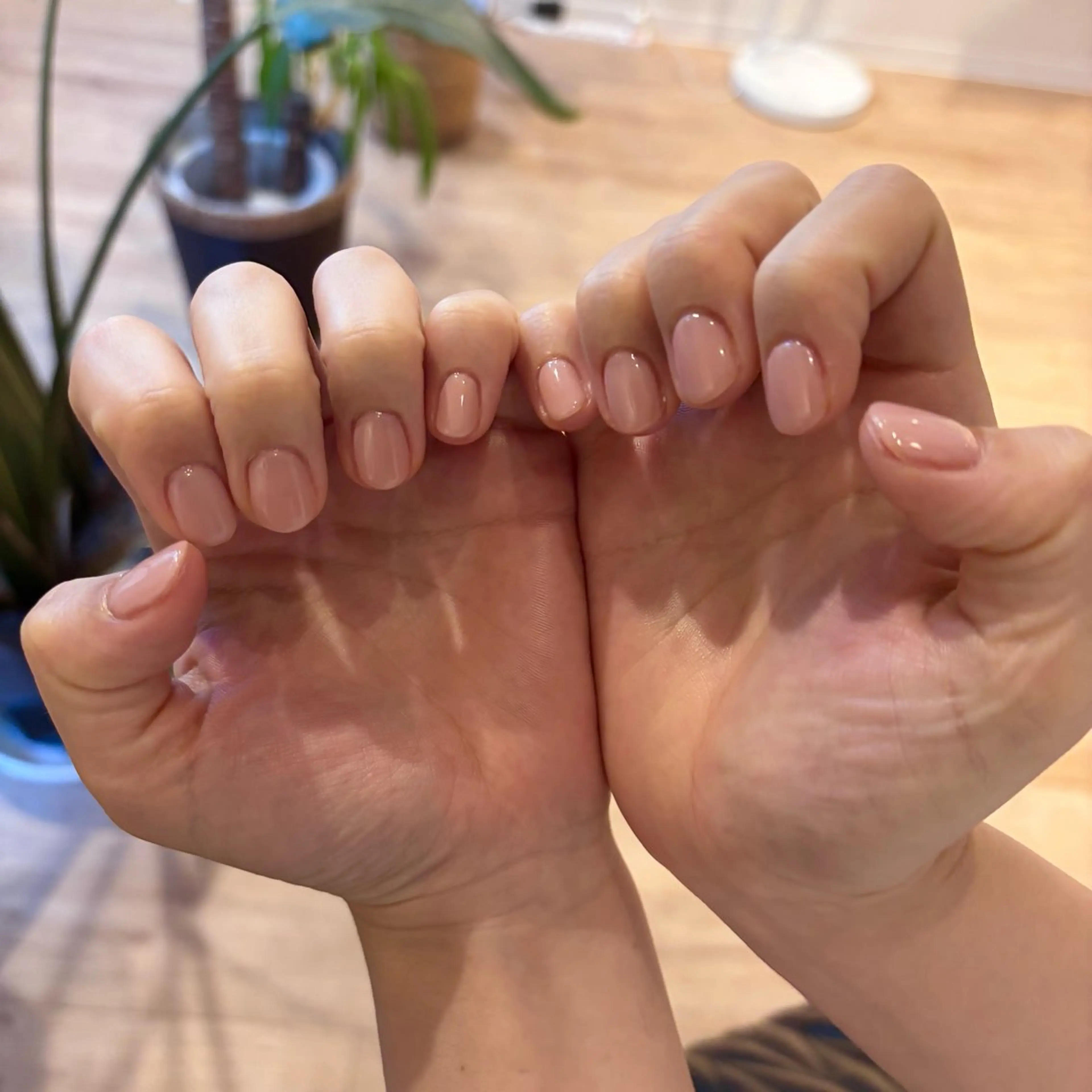 ネイル ワンカラーネイル Bianca名駅店 安田のネイルデザイン