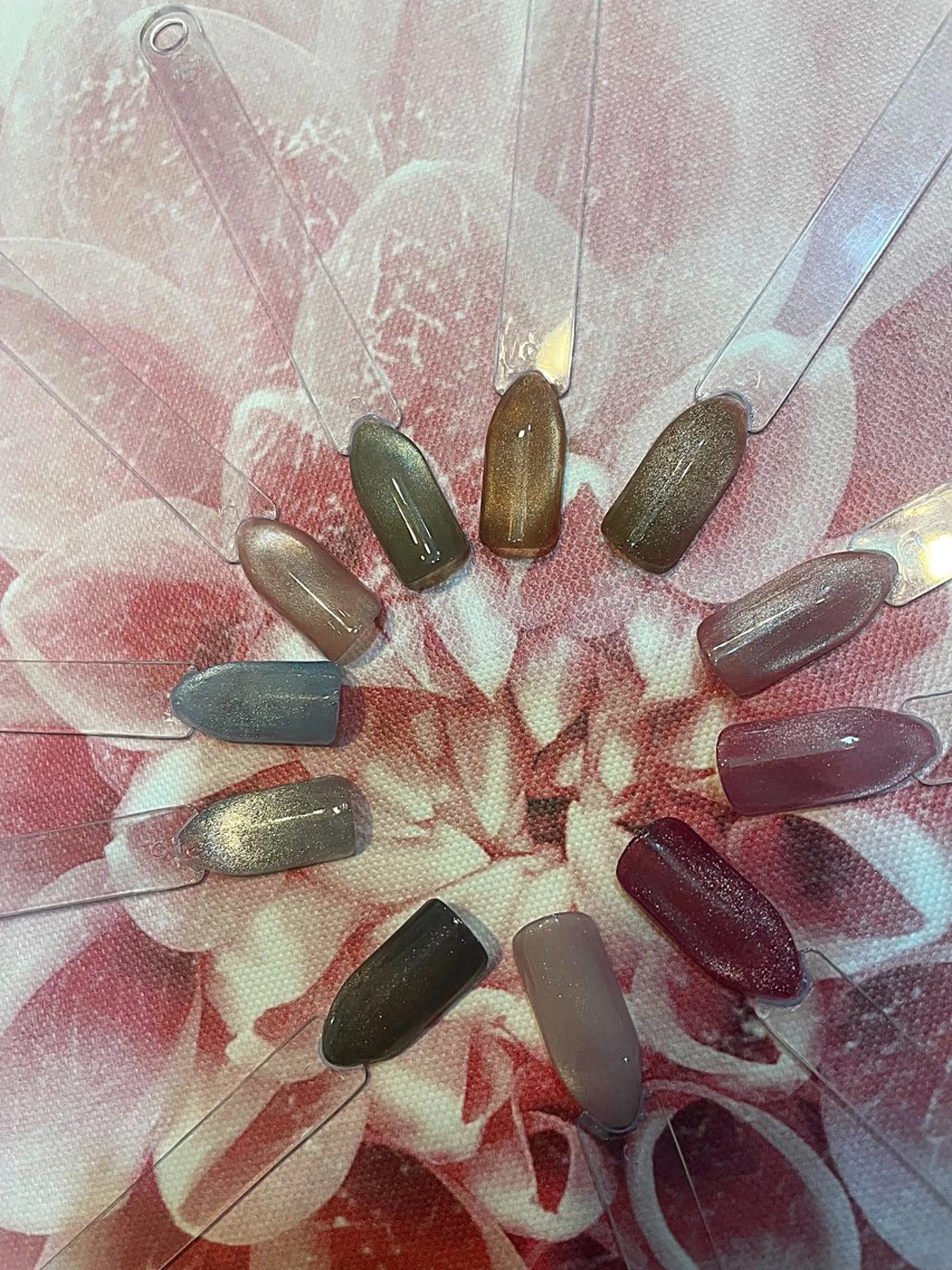 オフあり　ワンカラー、マグネット、フラッシュネイルの写真