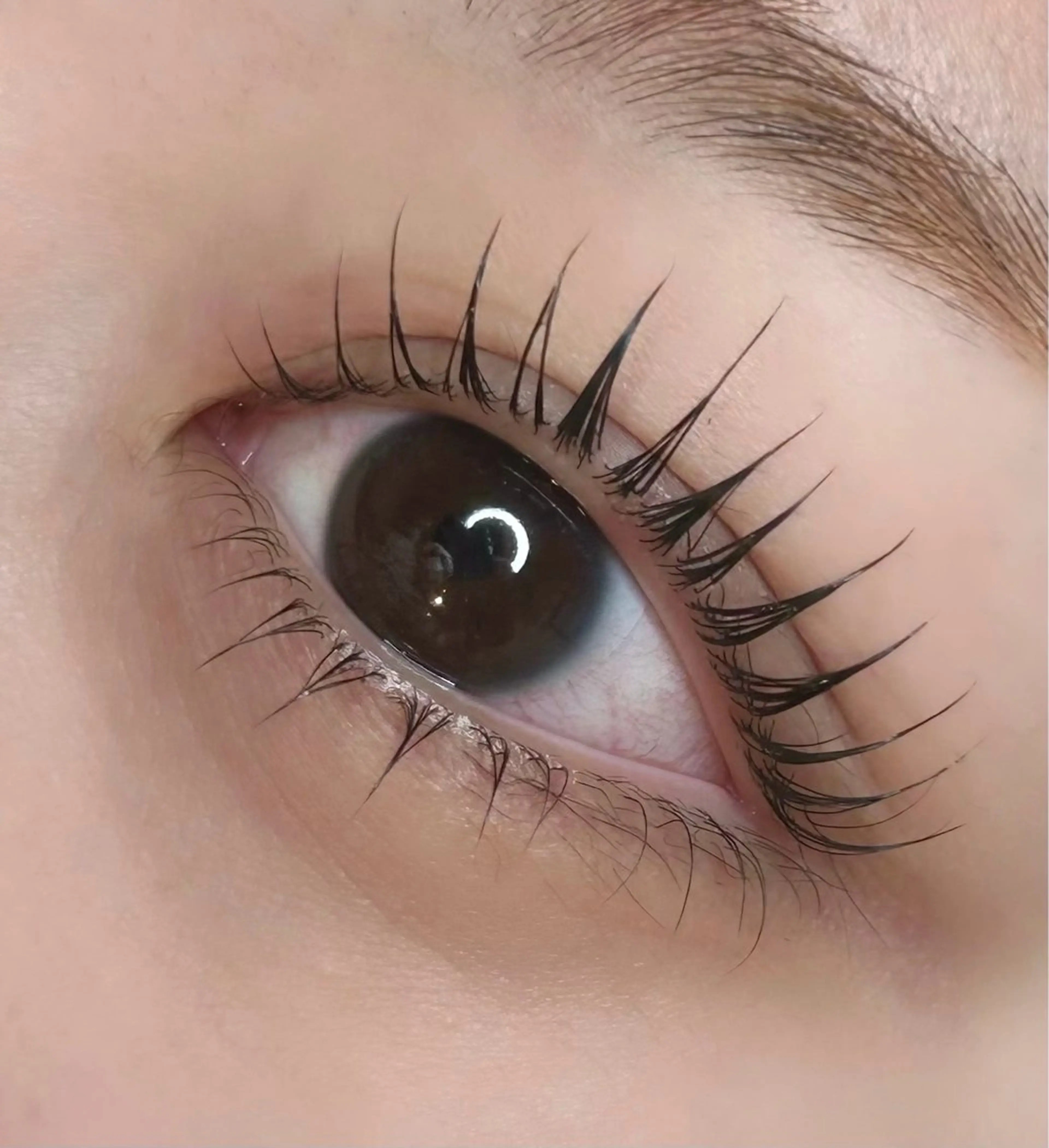 パリジェンヌラッシュリフト🎀【下まつ毛パーマプレゼント】の写真