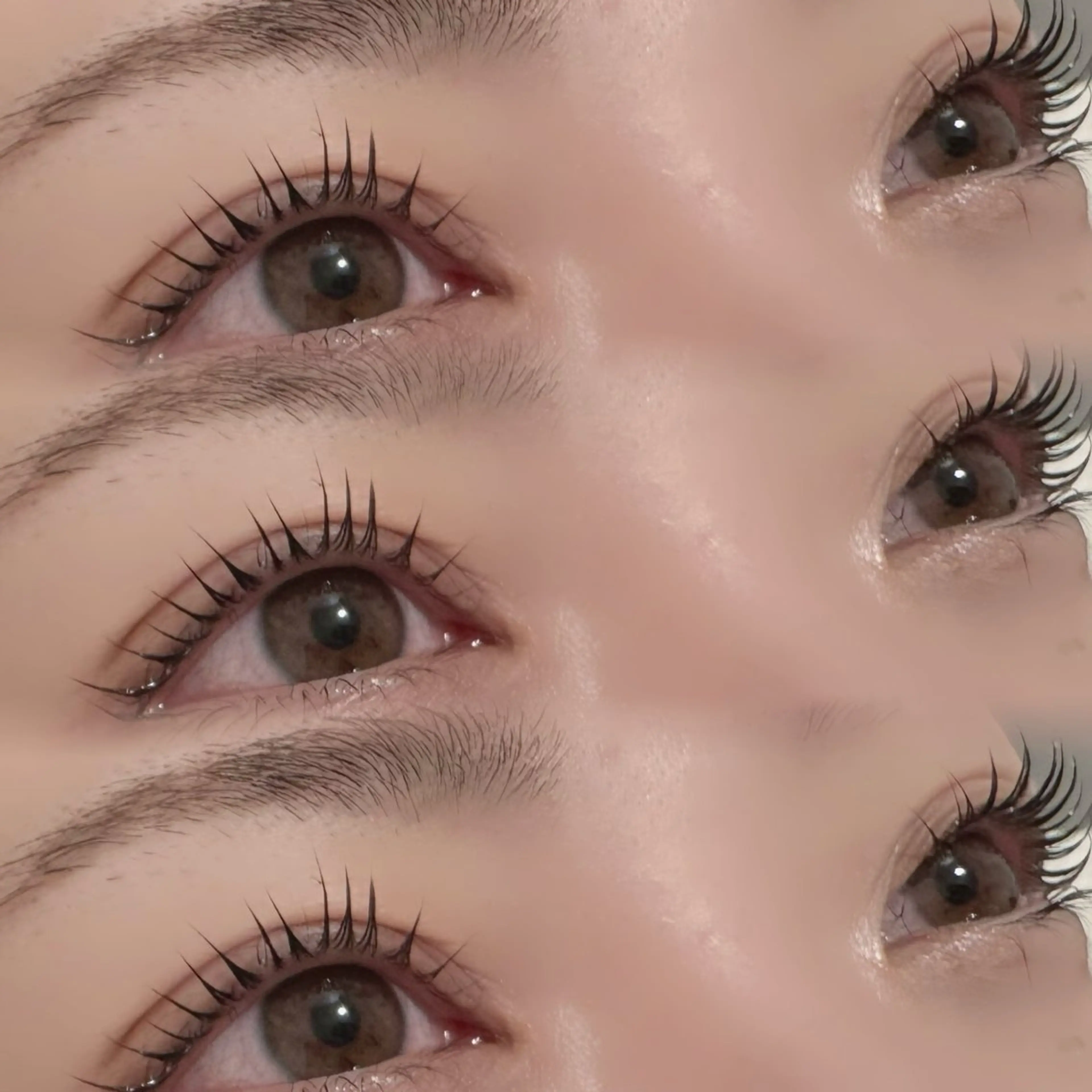 マツエク・マツパ MaaZ 7🦖⸒⸒のマツエク・マツパデザイン