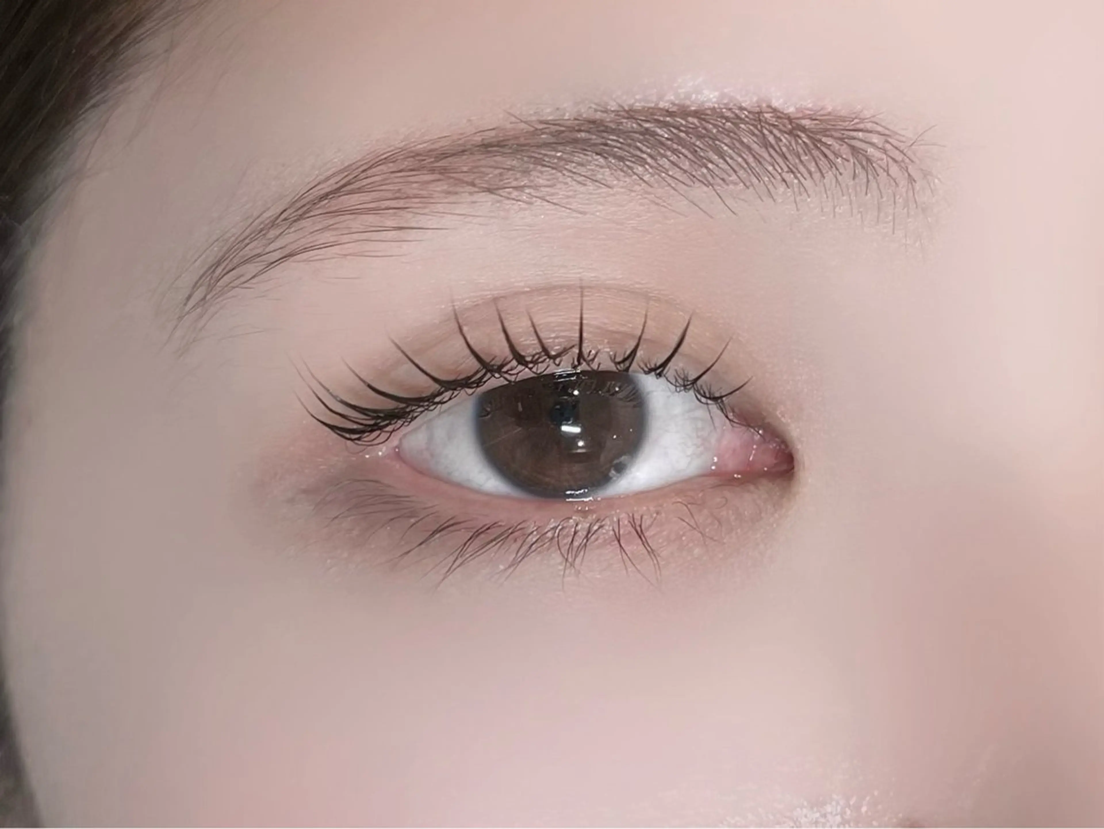 🤍上まつ毛パーマ+眉毛WAXの写真