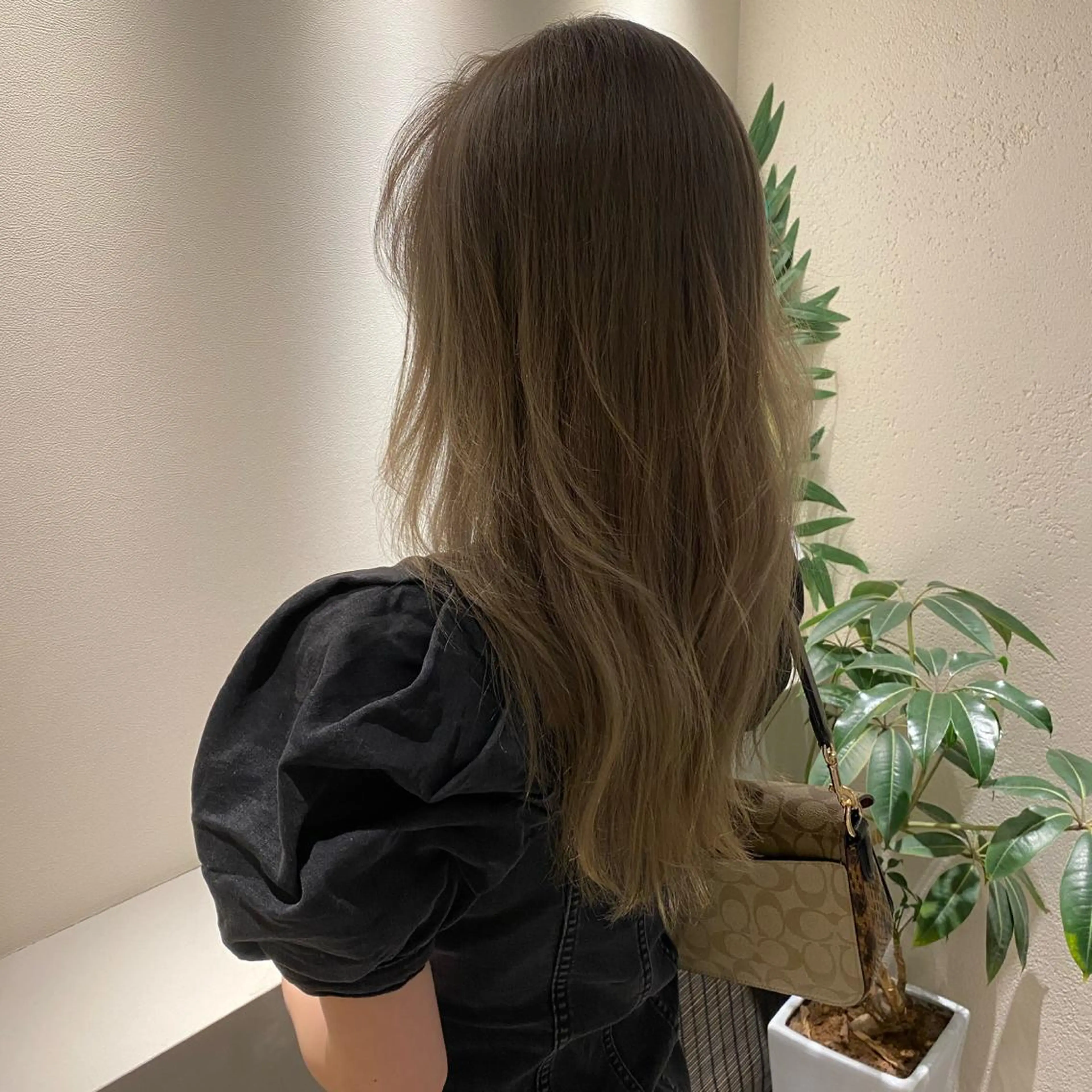 セミロング ケリーズグリーン所属・ショート/ボブ 森田/嵩士のヘアスタイル