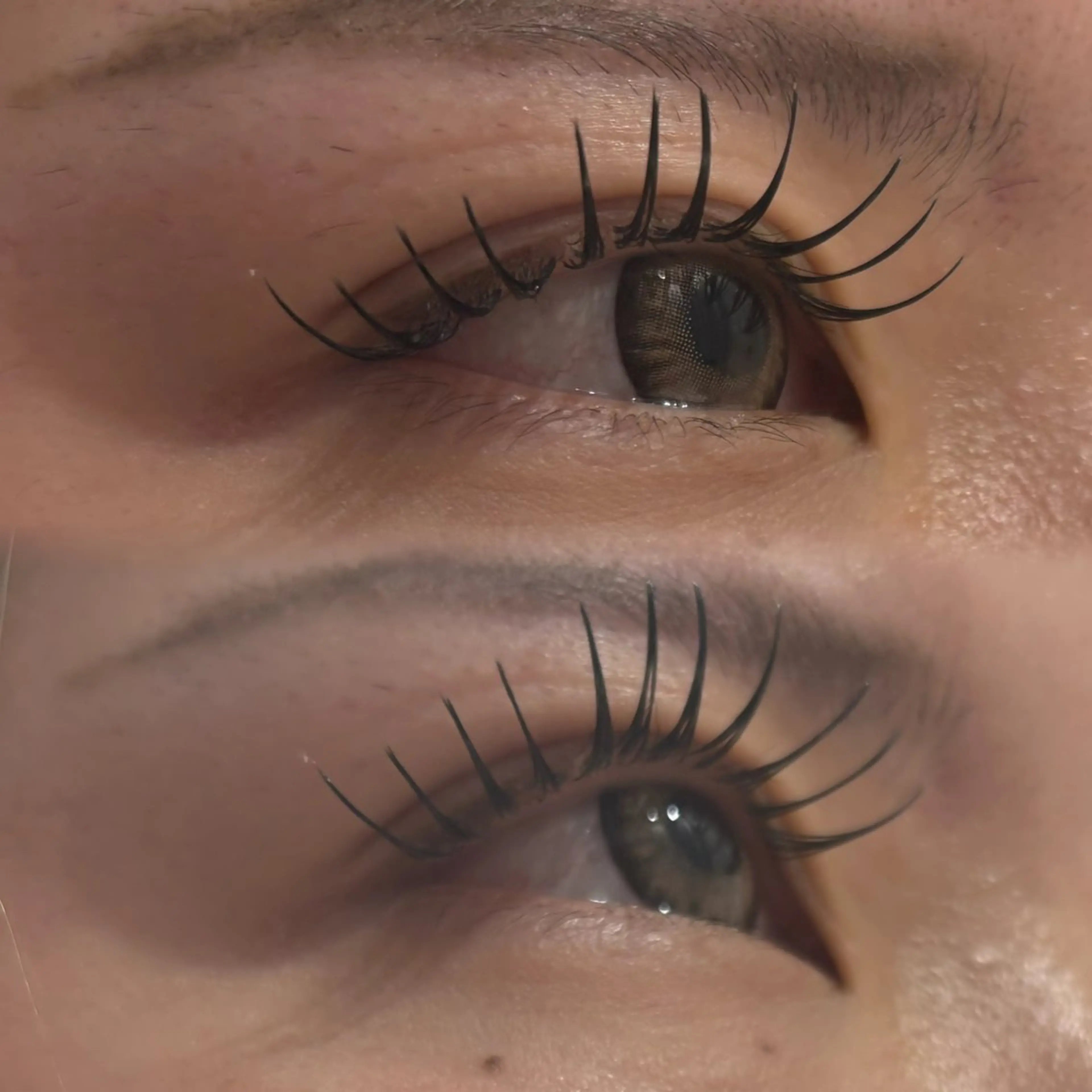 🐾マツエク・フラットラッシュ80~100本🎀✨コーティング込¥5000(カシミヤ変更➕1430円)の写真