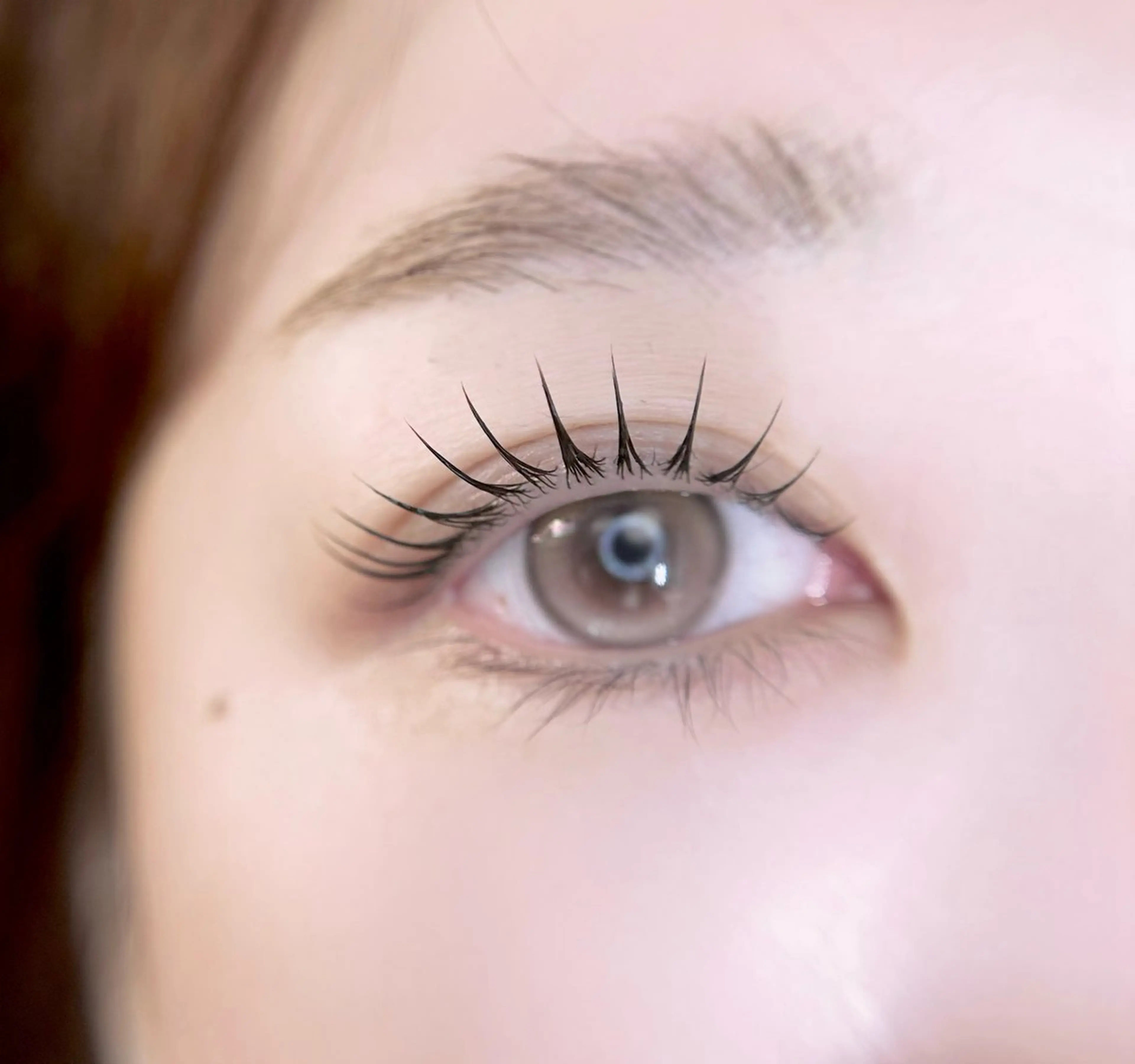 マツエク・マツパ マツパ eyelist. mizuki🐈‍⬛のマツエク・マツパデザイン