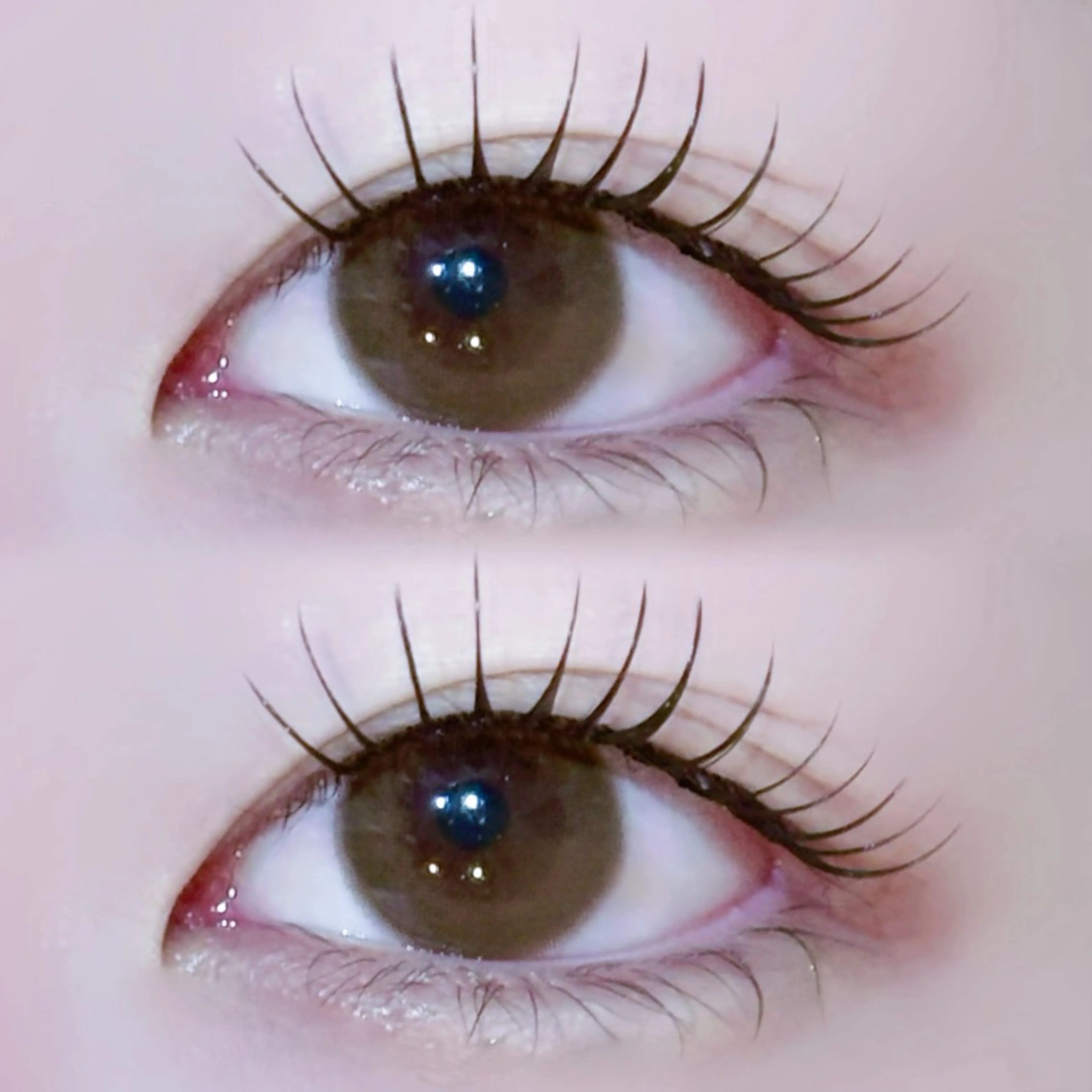 マツエク・マツパ EYELA🤍 蓜島のマツエク・マツパデザイン