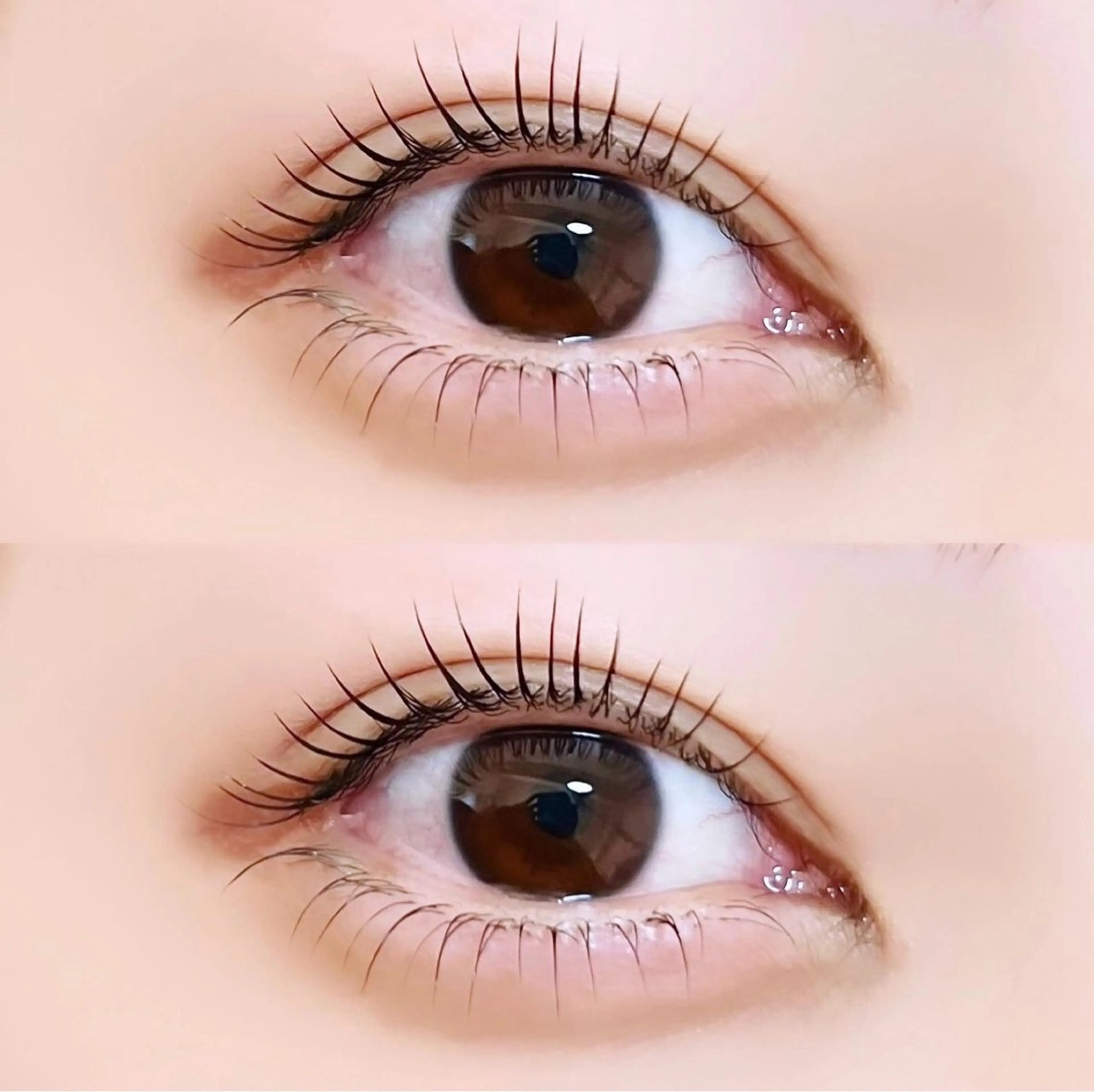 🌺パリジェンヌラッシュリフト上下🌺高濃度まつげ美容液付の写真